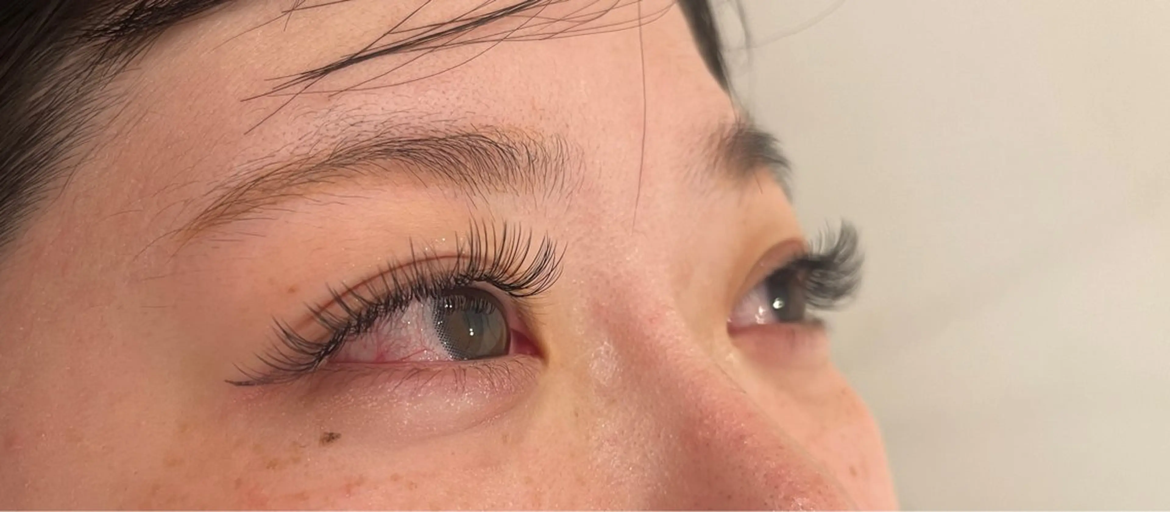 バインドロック 100束 オフ込みの写真