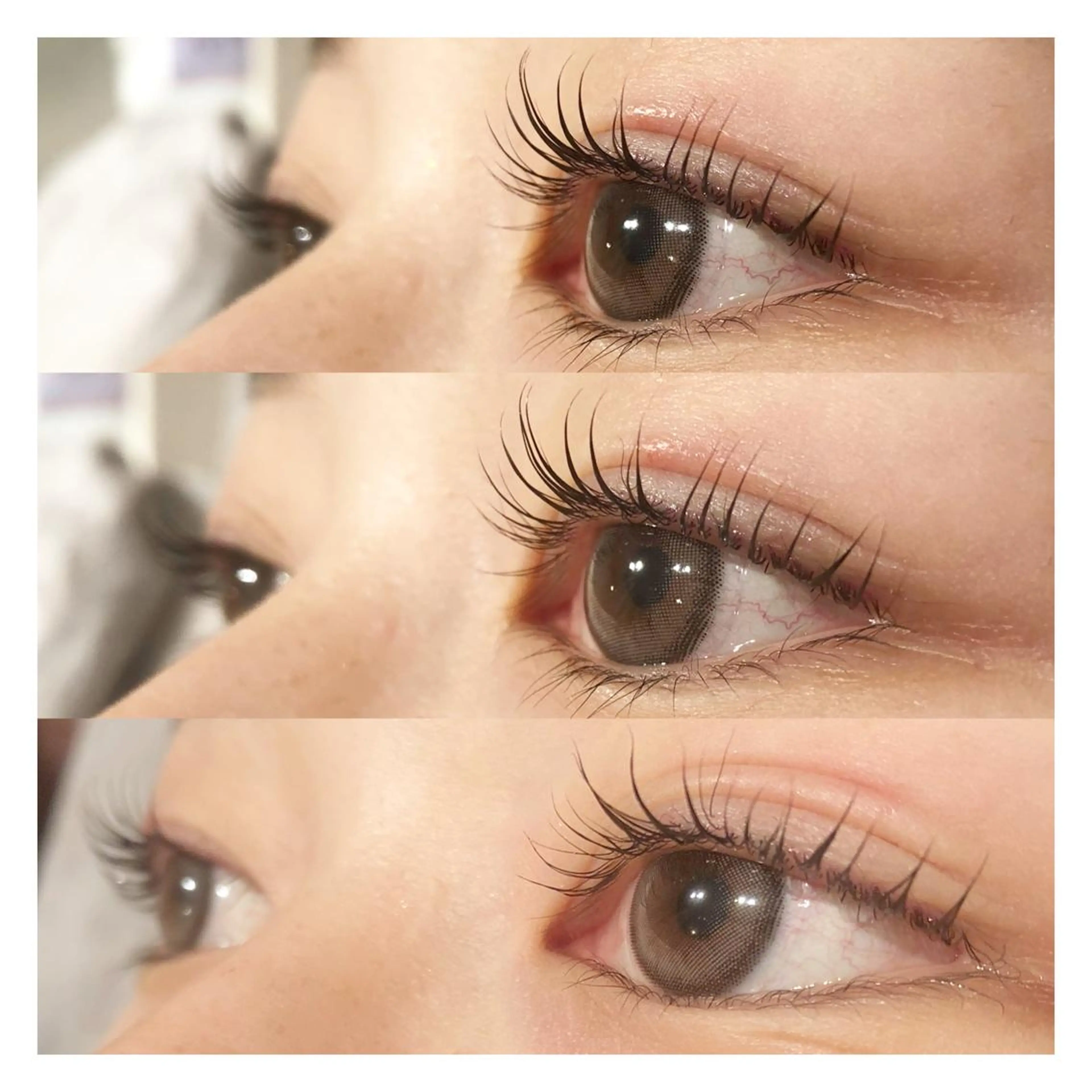 マツパ+コーティングケアの写真