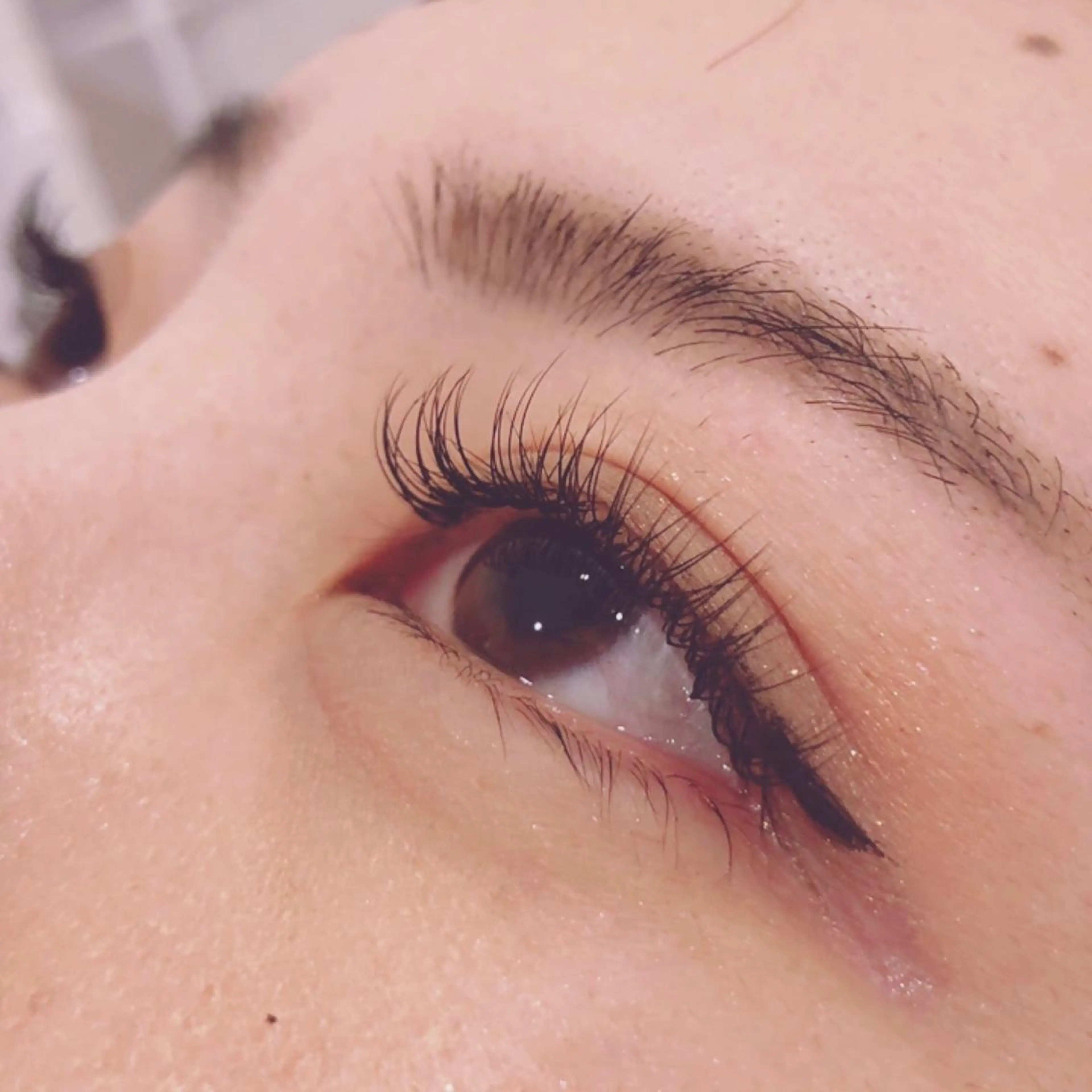 マツエク・マツパ キュート Dカール ELRe アイラッシュのマツエク・マツパデザイン