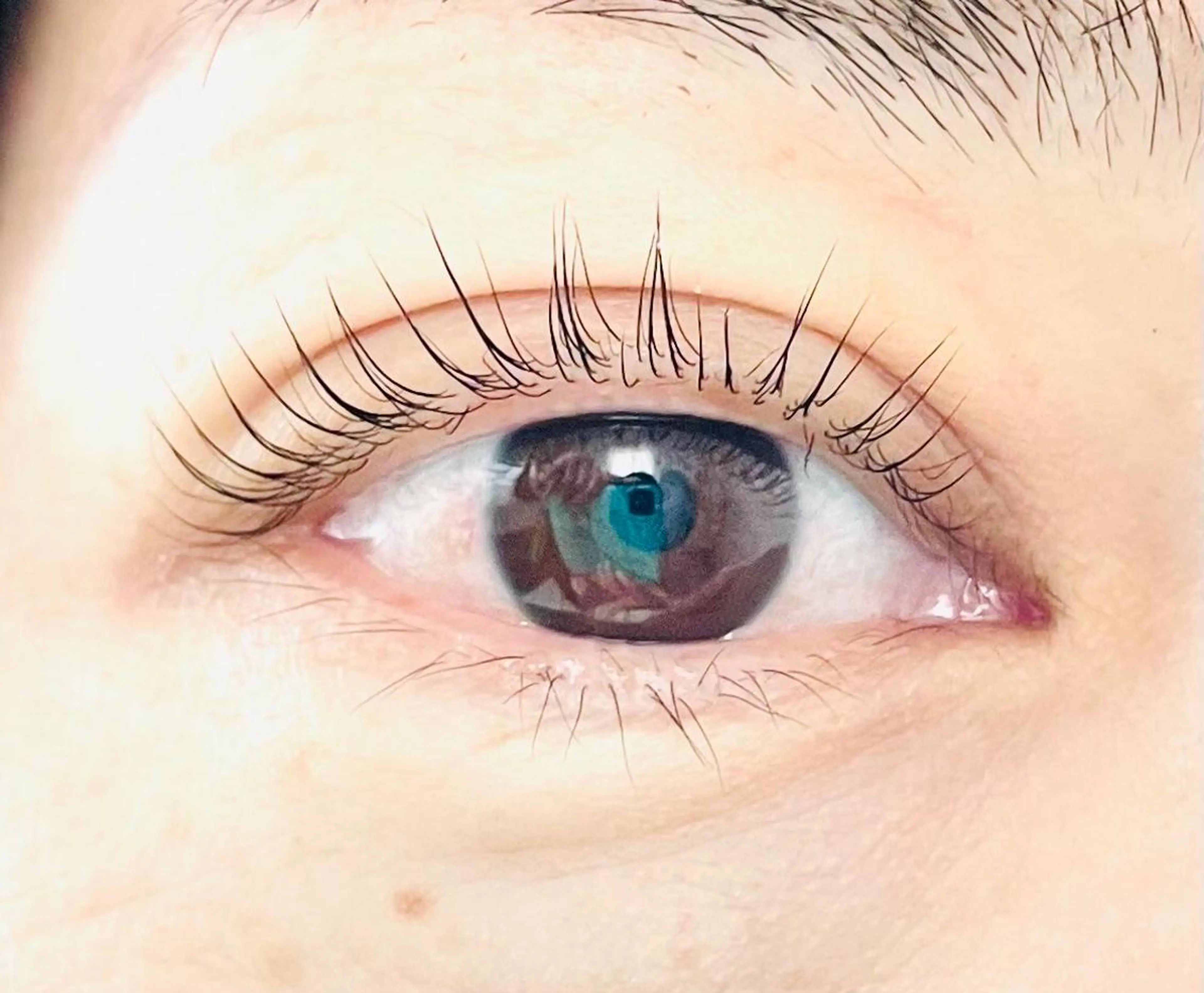 マツエク・マツパ マツパ Shinus シャイナスのマツエク・マツパデザイン