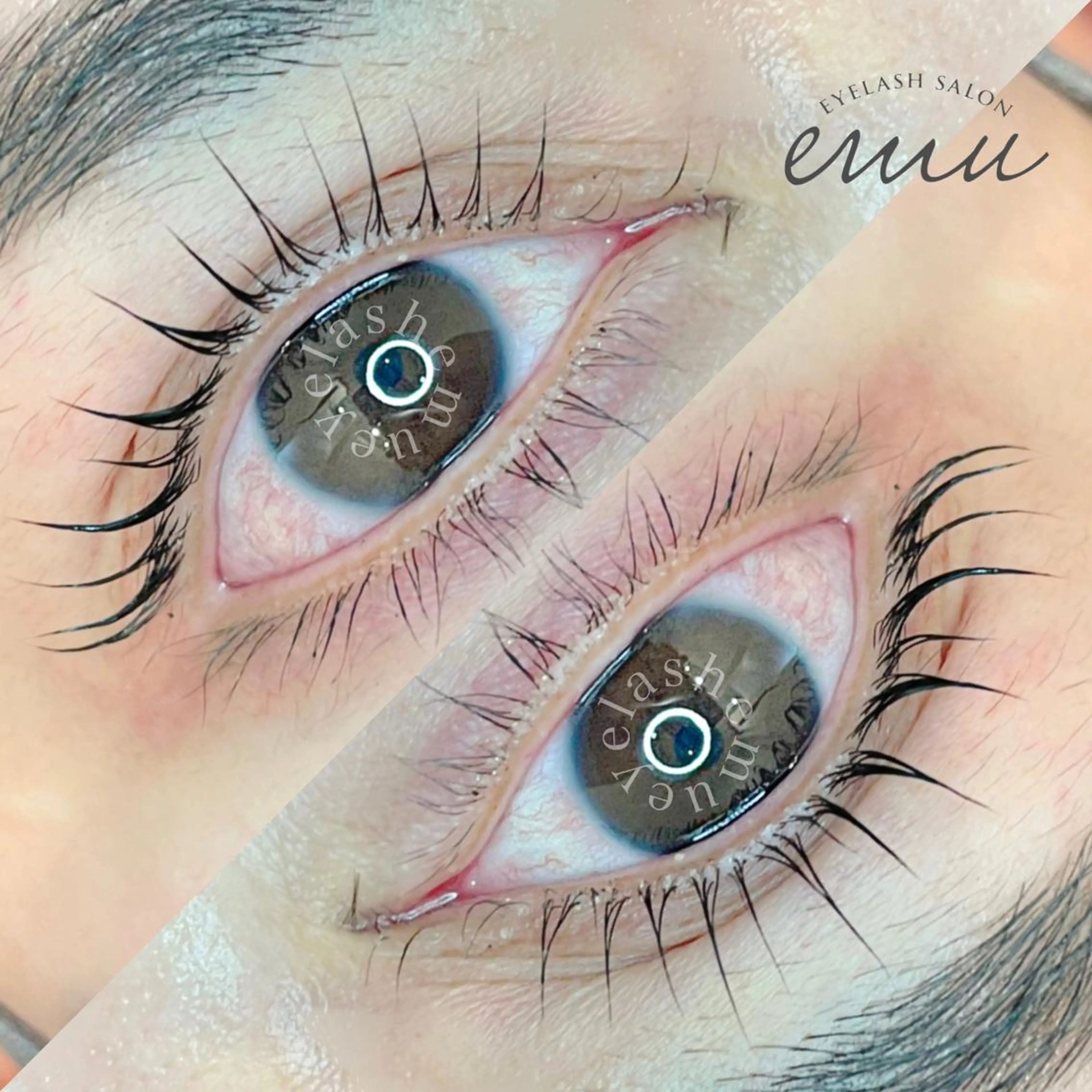 マツエク・マツパ マツパ パリジェンヌ/HBL /マツエク/束感のマツエク・マツパデザイン