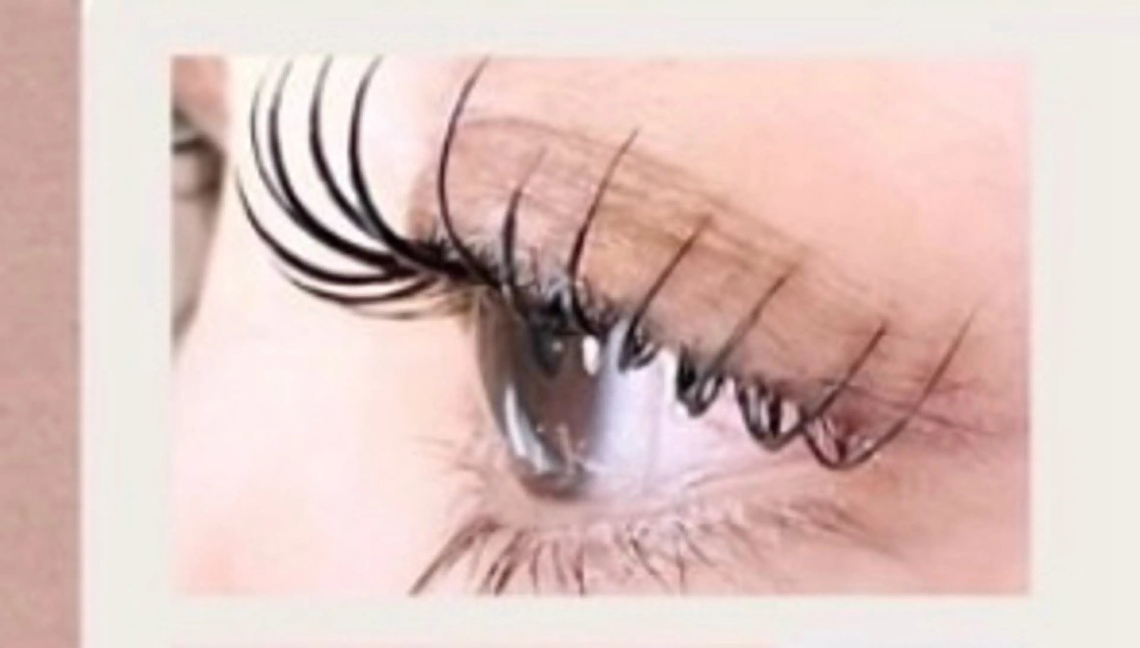 【まつ毛パーマ🤍ラウンド】スウィート・モブ🌈¥3480の写真