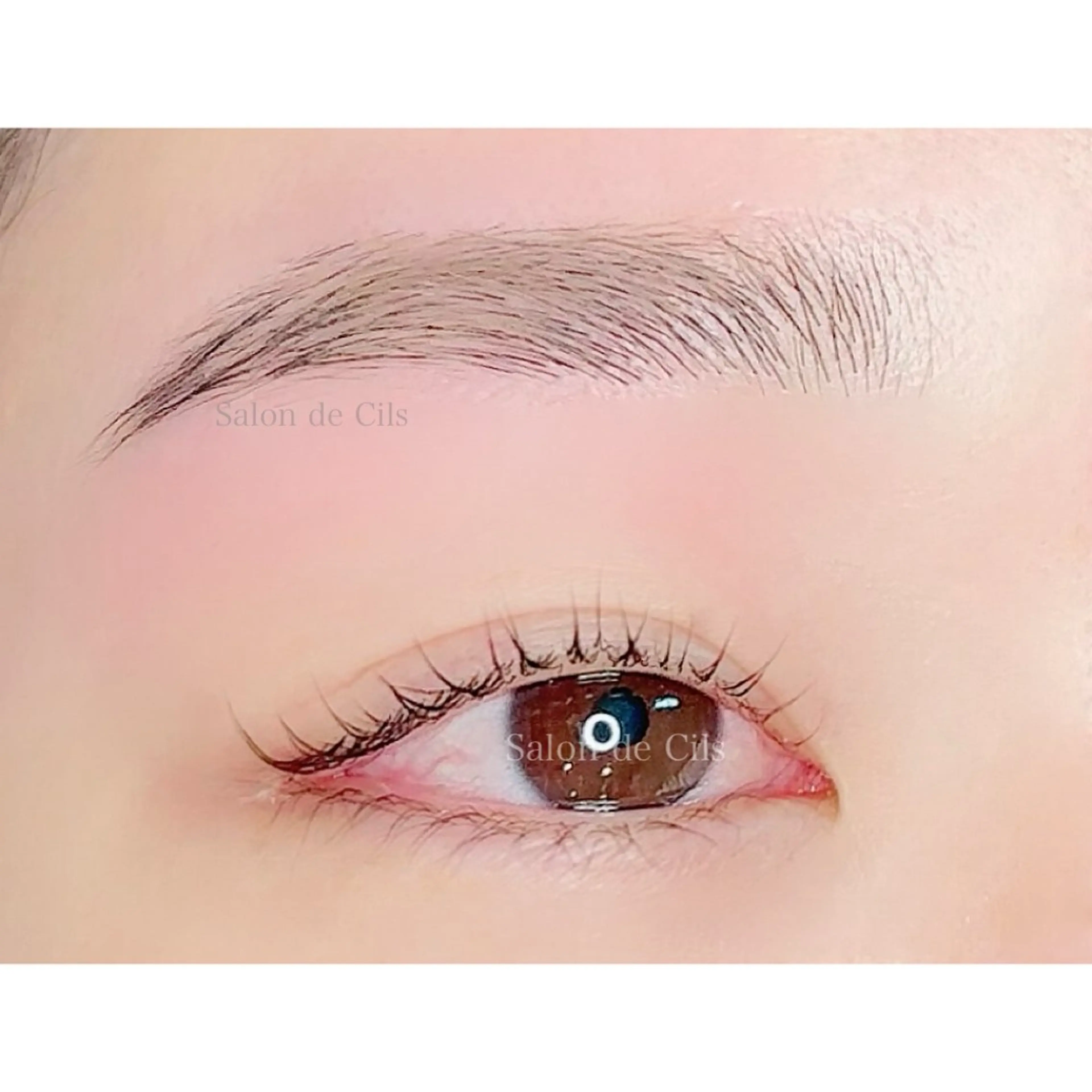 アイブロウ ワックス脱毛 眉カット その他(アイブロウ) Salon de Cilsのマツエク・マツパデザイン