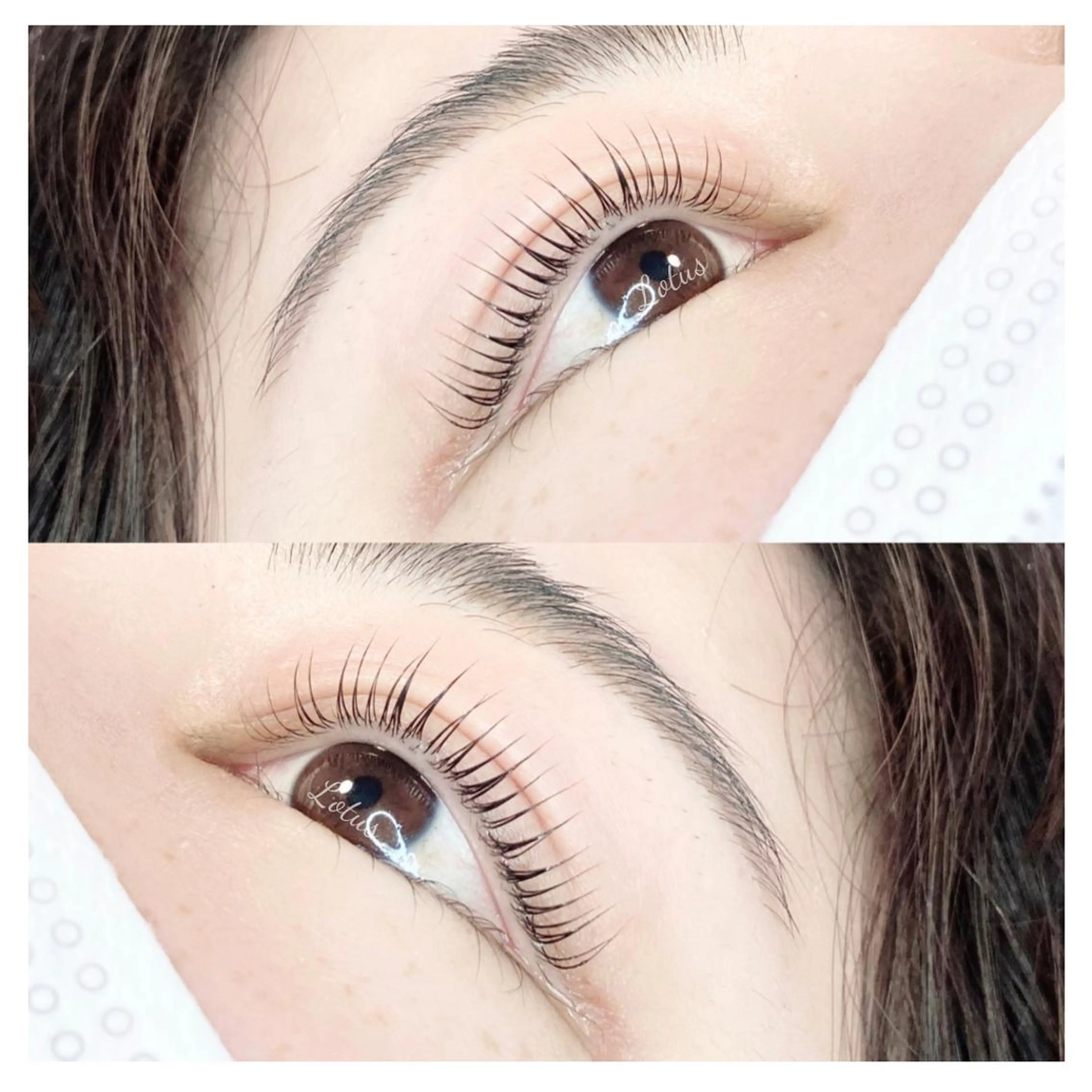 マツエク・マツパ Lotus ロータスのマツエク・マツパデザイン