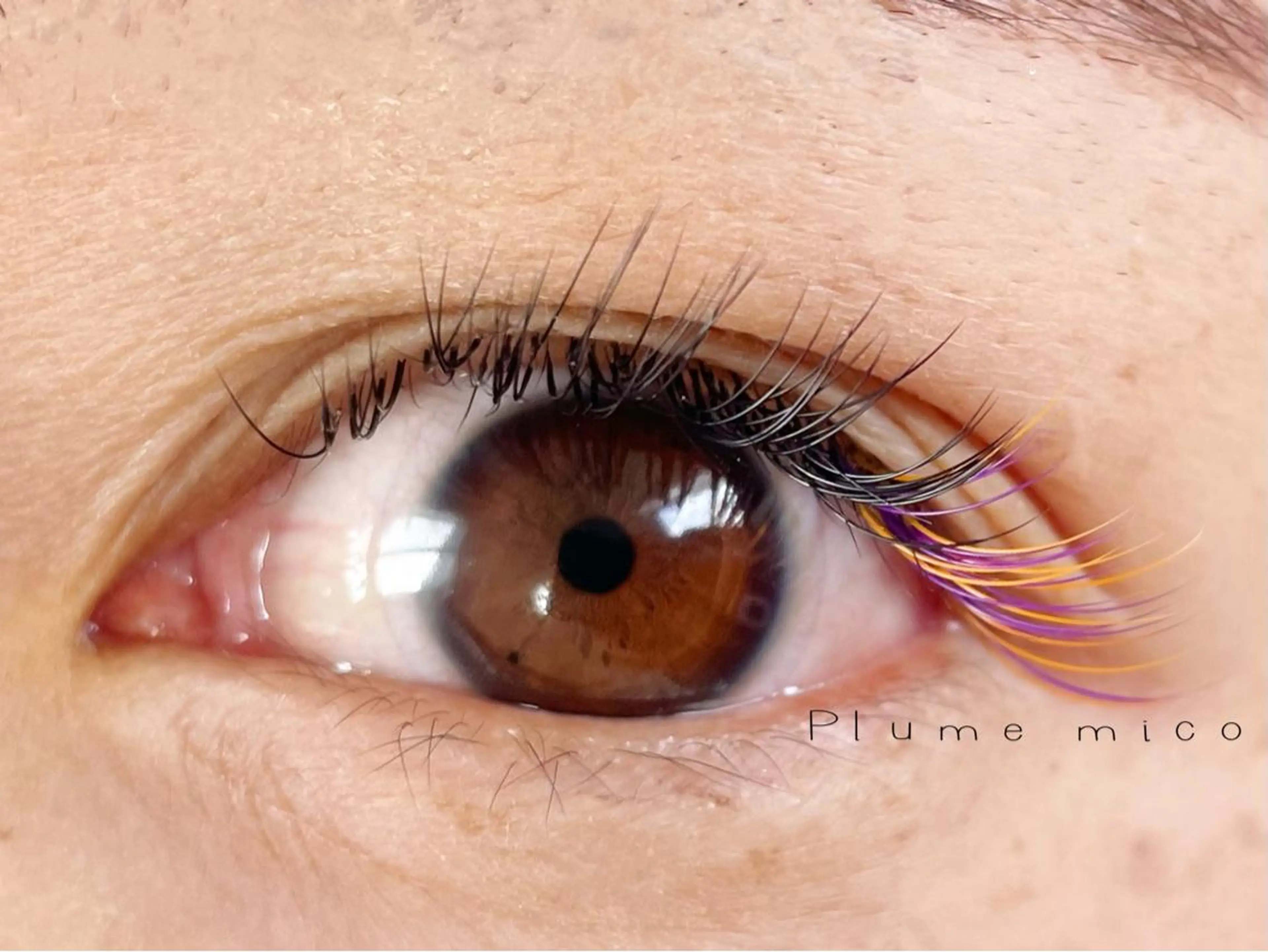 マツエク・マツパ カラーマツエク マツエク Plume micoのマツエク・マツパデザイン