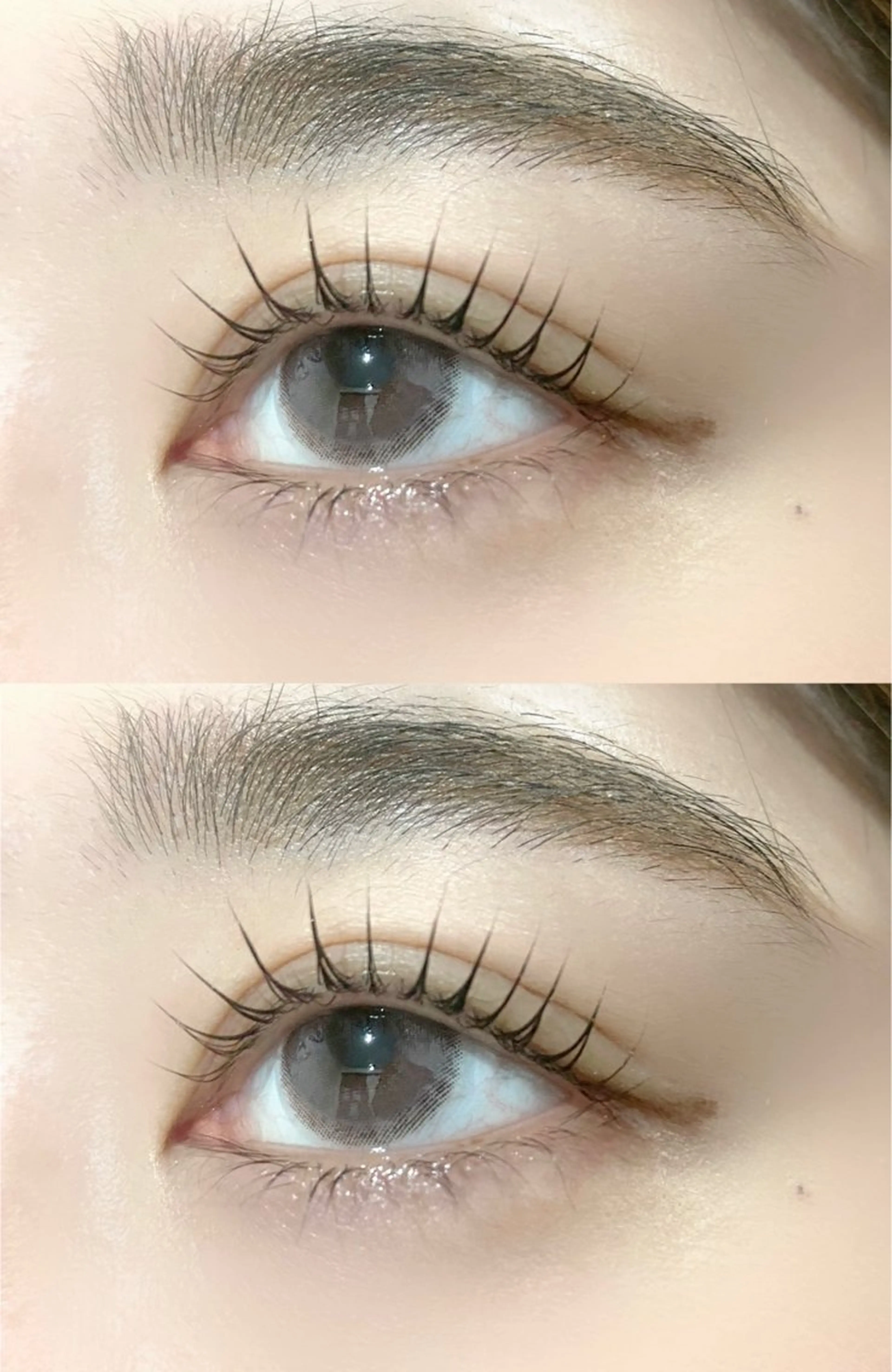 パリジェンヌorラッシュリフト🧡トリートメント仕上げ　　¥4500の写真