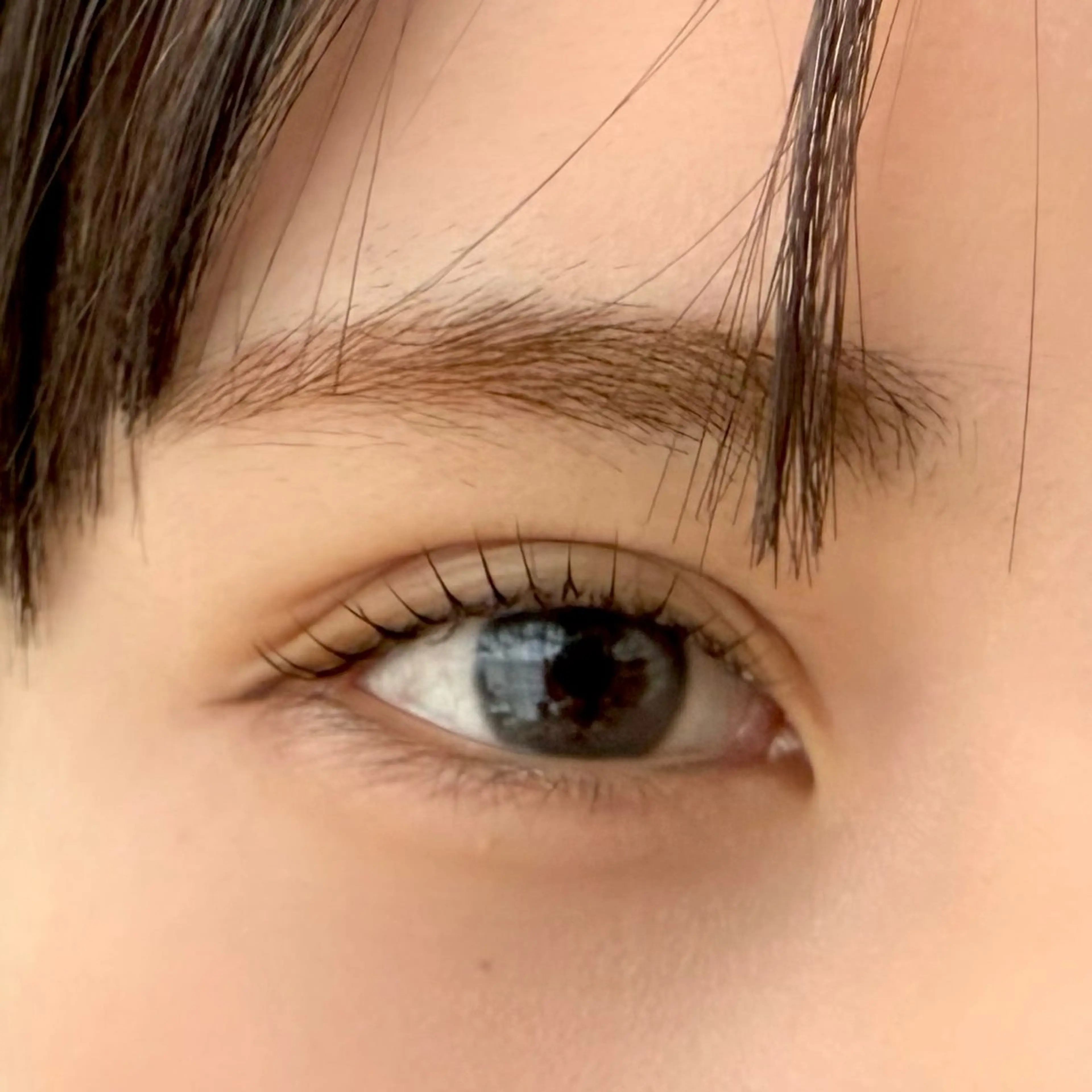 次世代ラッシュリフト★痛まないノンアルカリ薬剤使用！トリートメント1種込みの写真