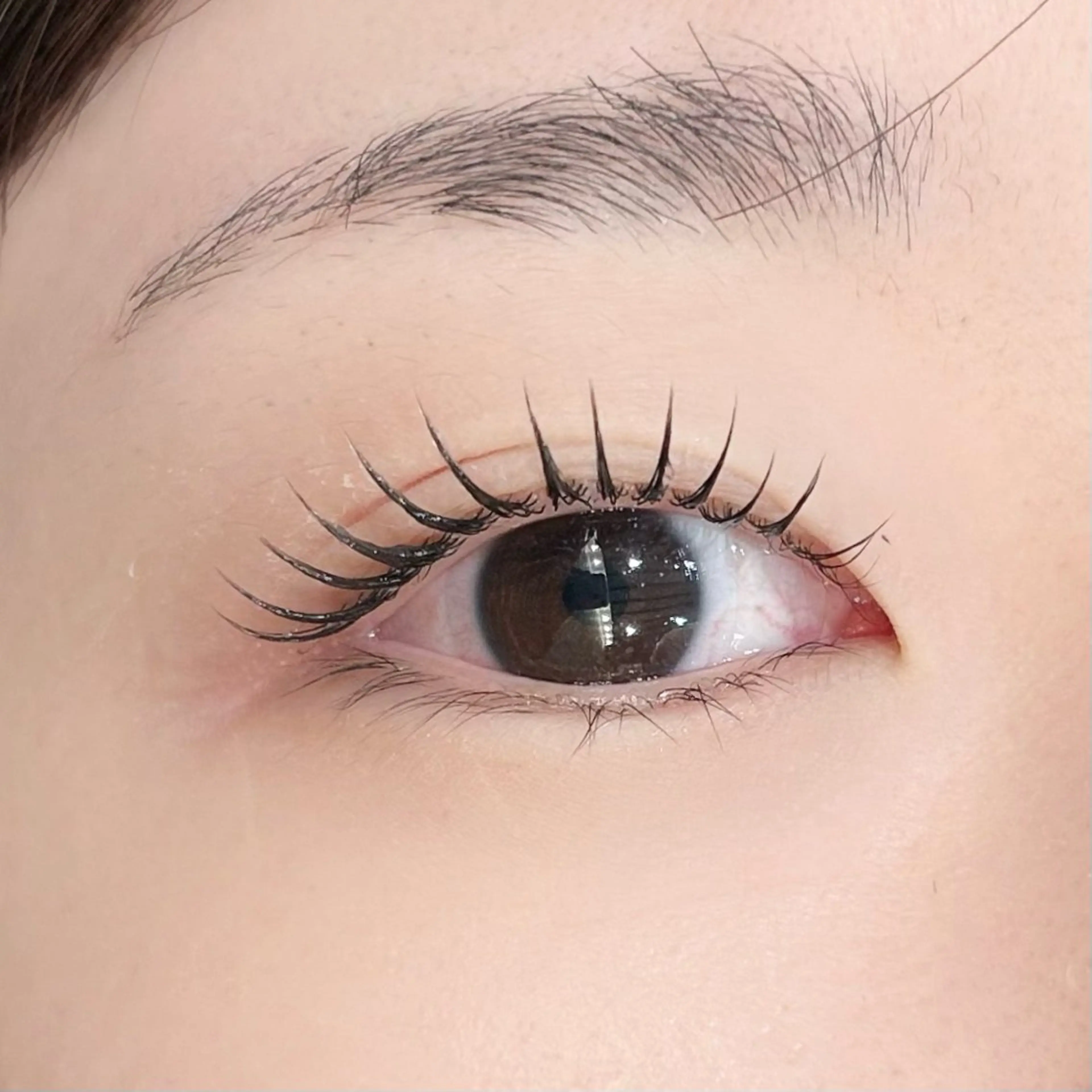 🌷ミニモ限定価格🌷オーダーラッシュリフトの写真