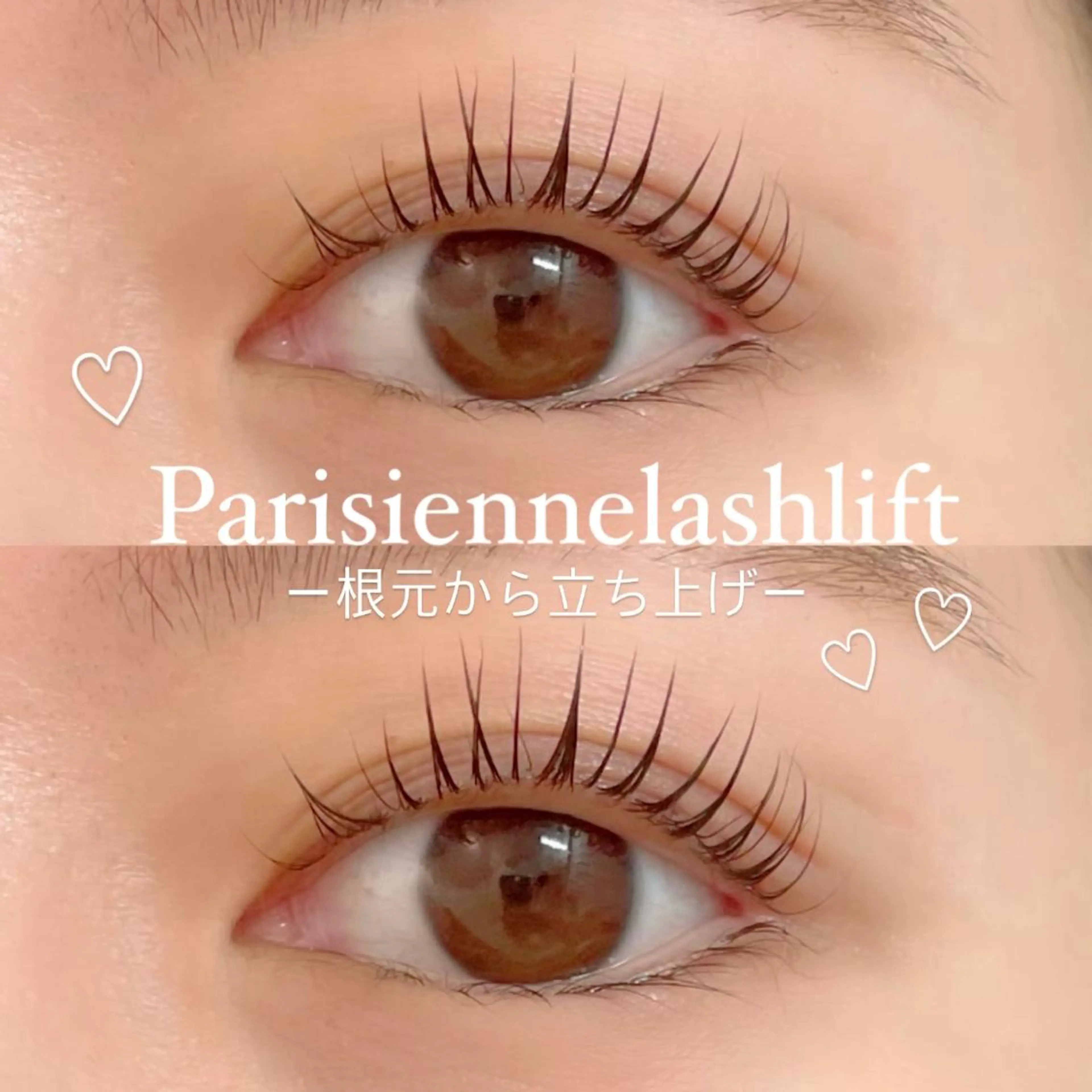 マツエク・マツパ FOXY LASH Miyamotoのマツエク・マツパデザイン