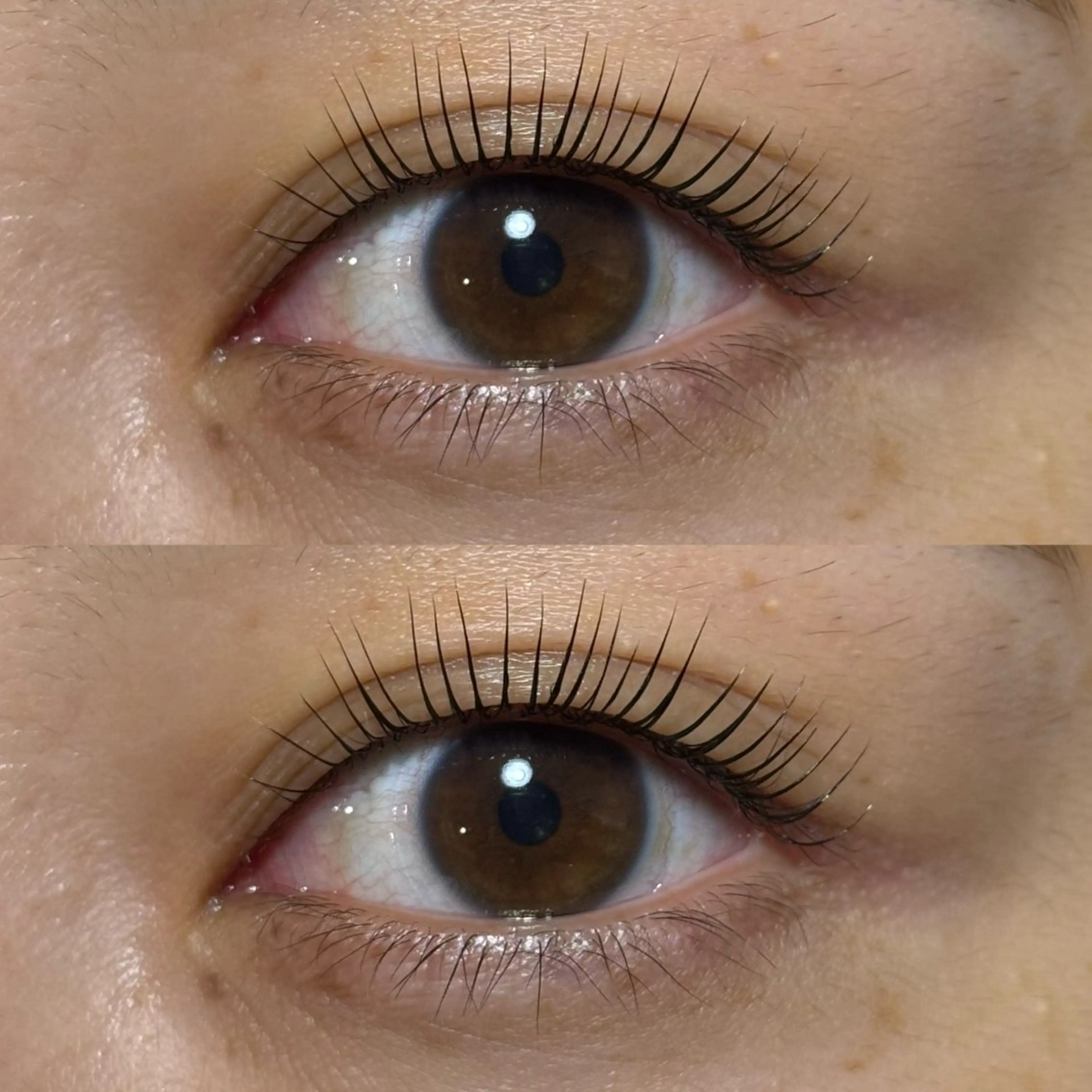 マツエク・マツパ マツパ 向井 萌華の眉毛・アイブロウイメージ