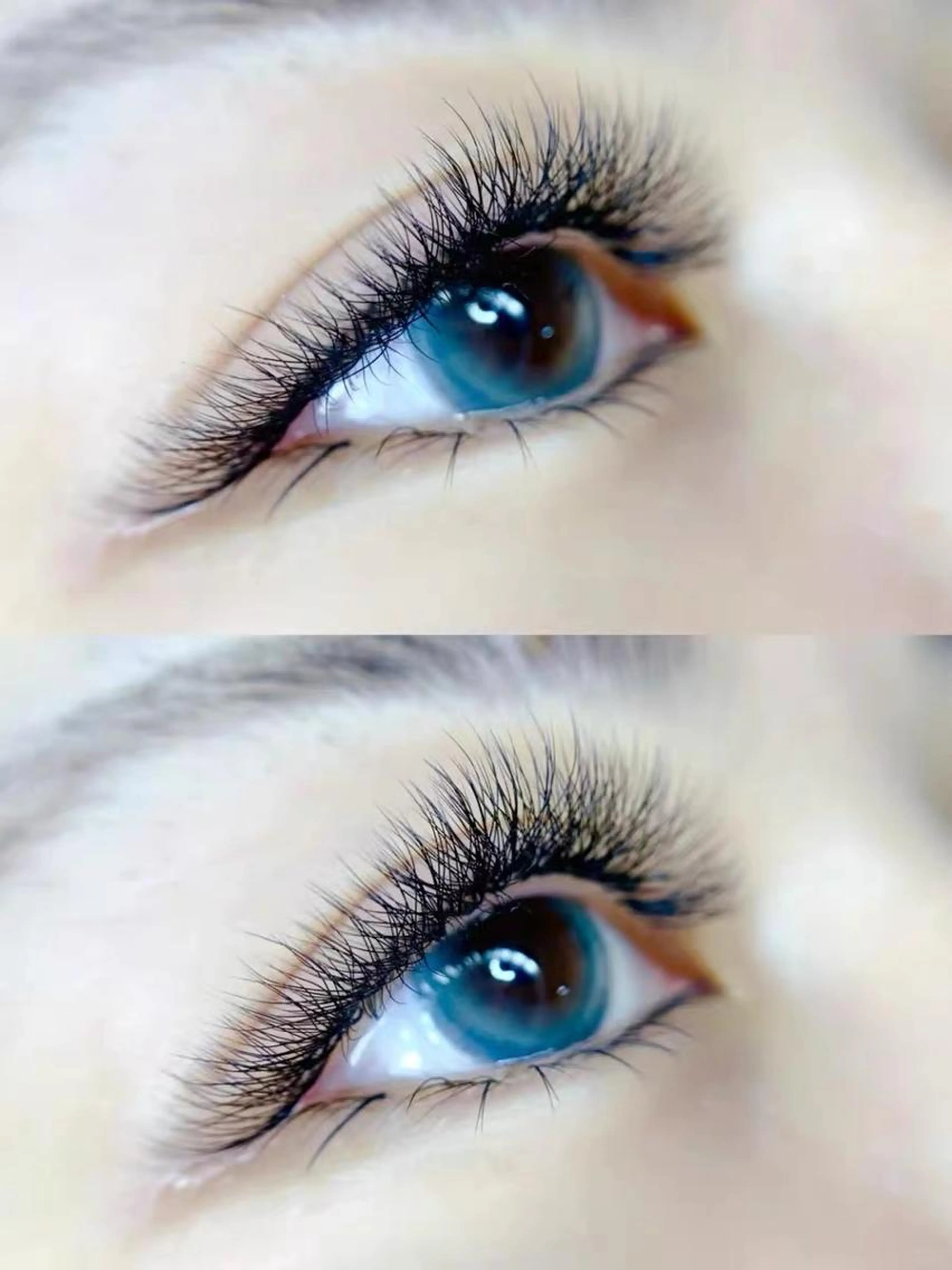 🉐【三つ葉系ボリュームラッシュ140束】の写真