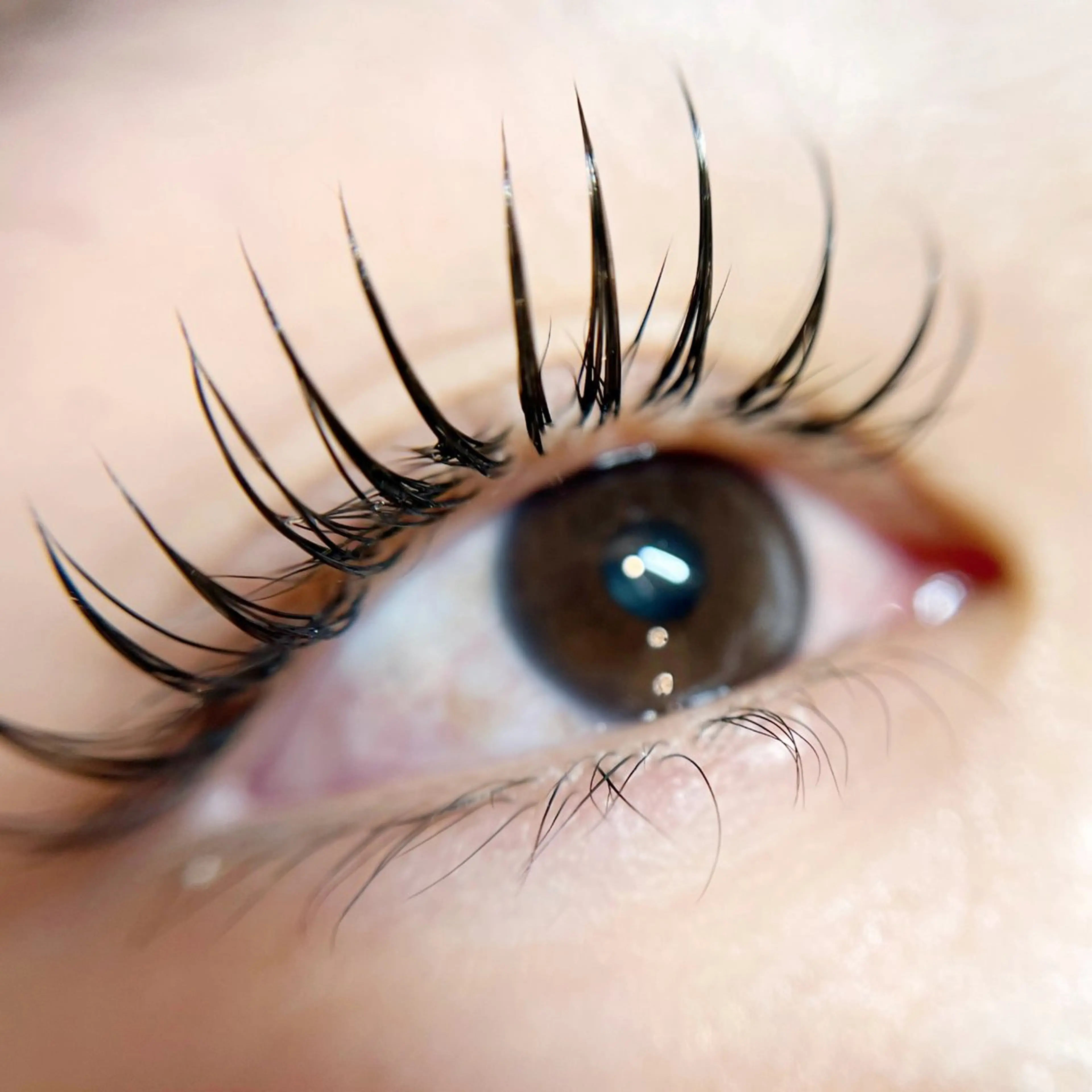 マツエク・マツパ ルミエール梅田 川嶋のマツエク・マツパデザイン