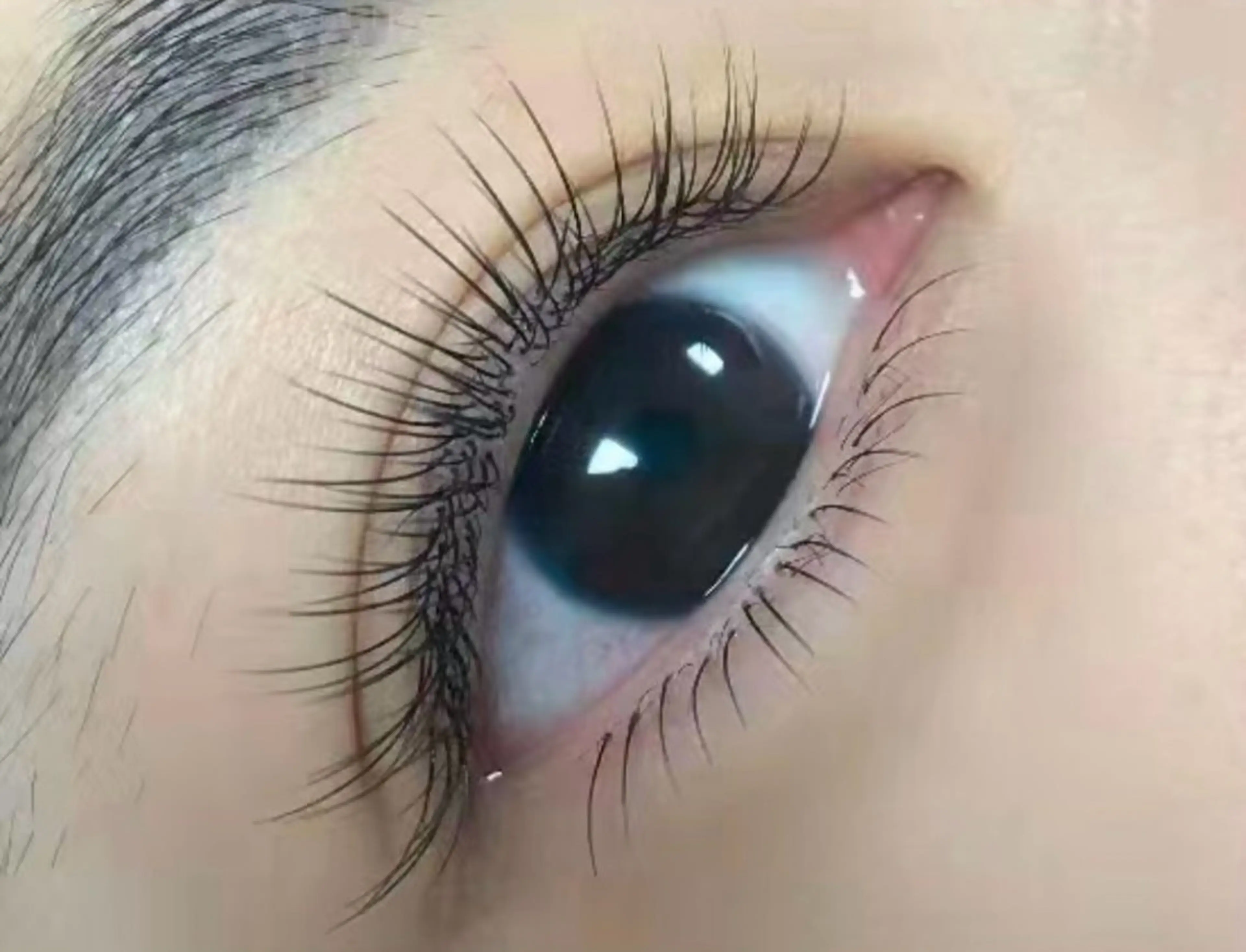 マツエク・マツパ フラットラッシュ マツエク ルチア💞 lucia高田馬場のマツエク・マツパデザイン