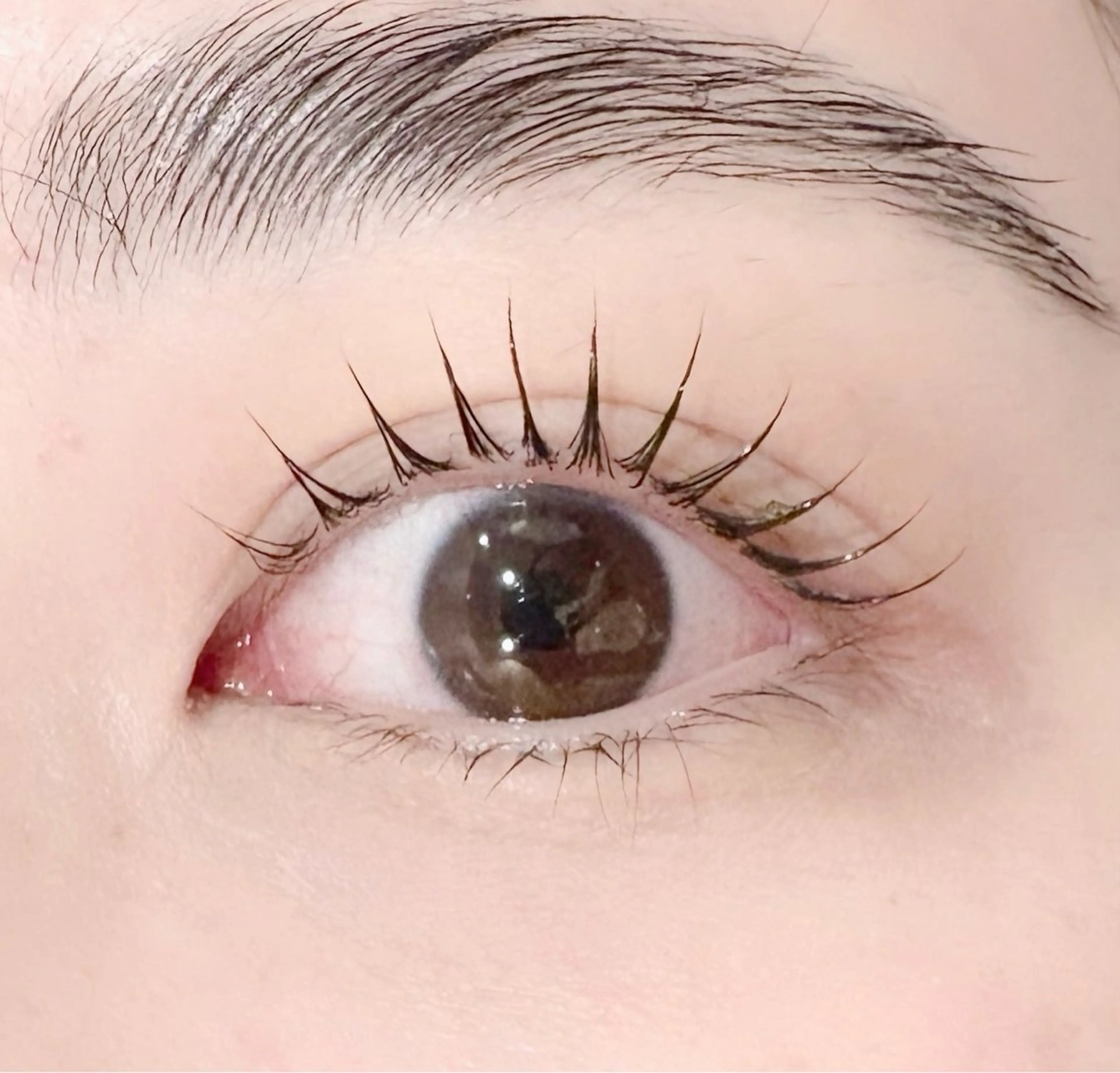 マツエク・マツパ mecotto大宮店 店長MAKI似合わせのマツエク・マツパデザイン