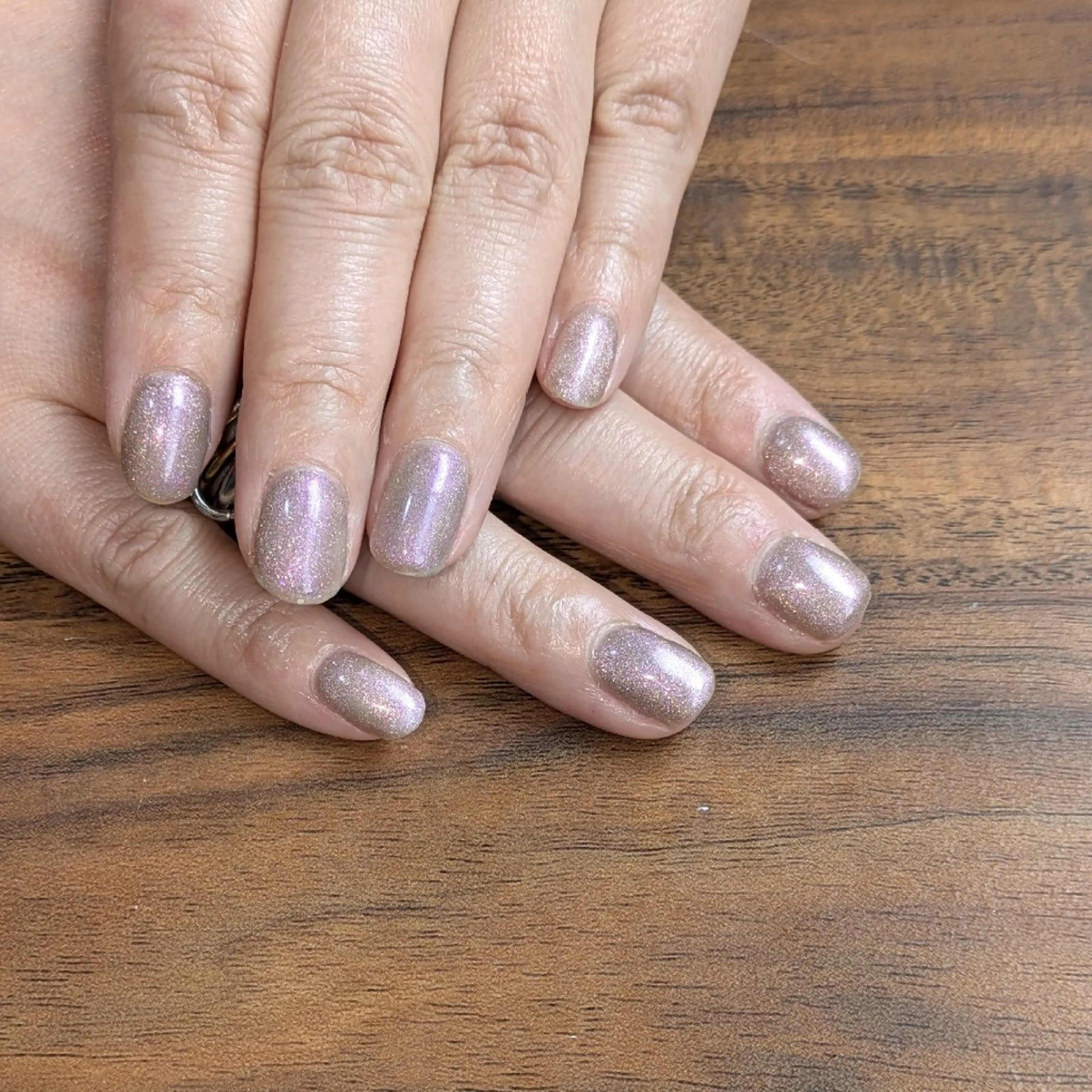 マグネットの写真