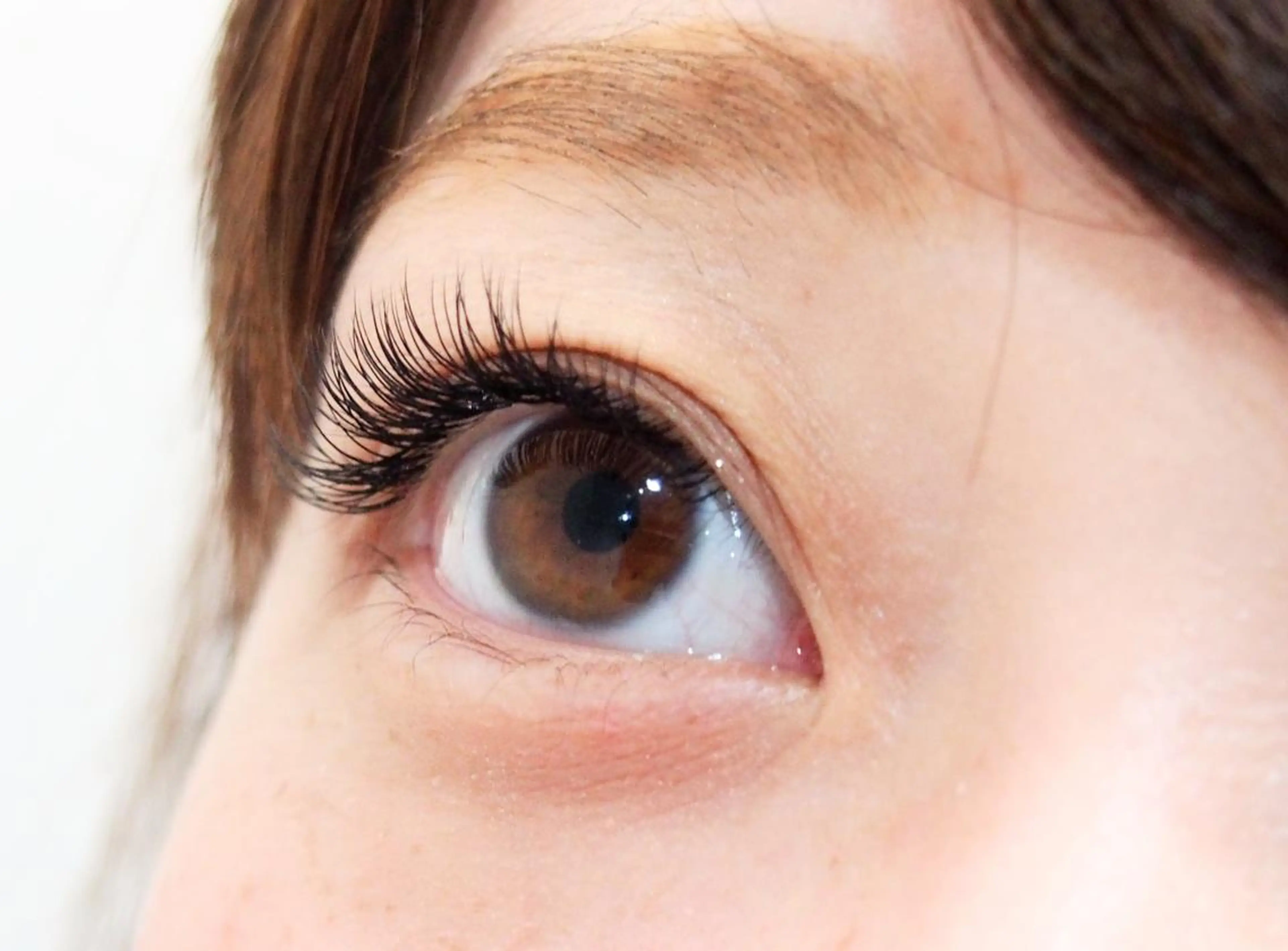 マツエク・マツパ Dカール S Sの眉毛・アイブロウイメージ