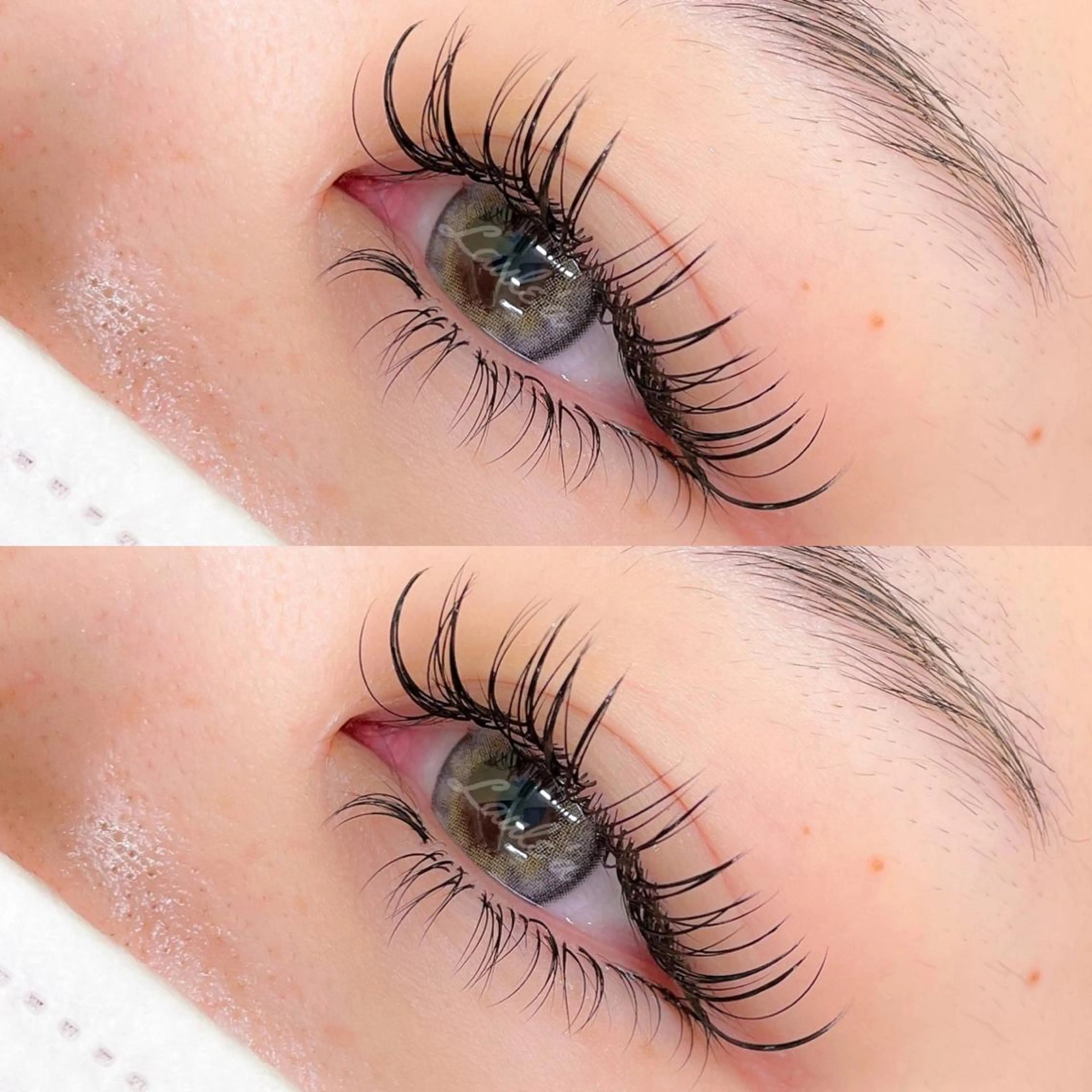 マツエク・マツパ 付け放題 マツエク Laule'a ラウレアのマツエク・マツパデザイン