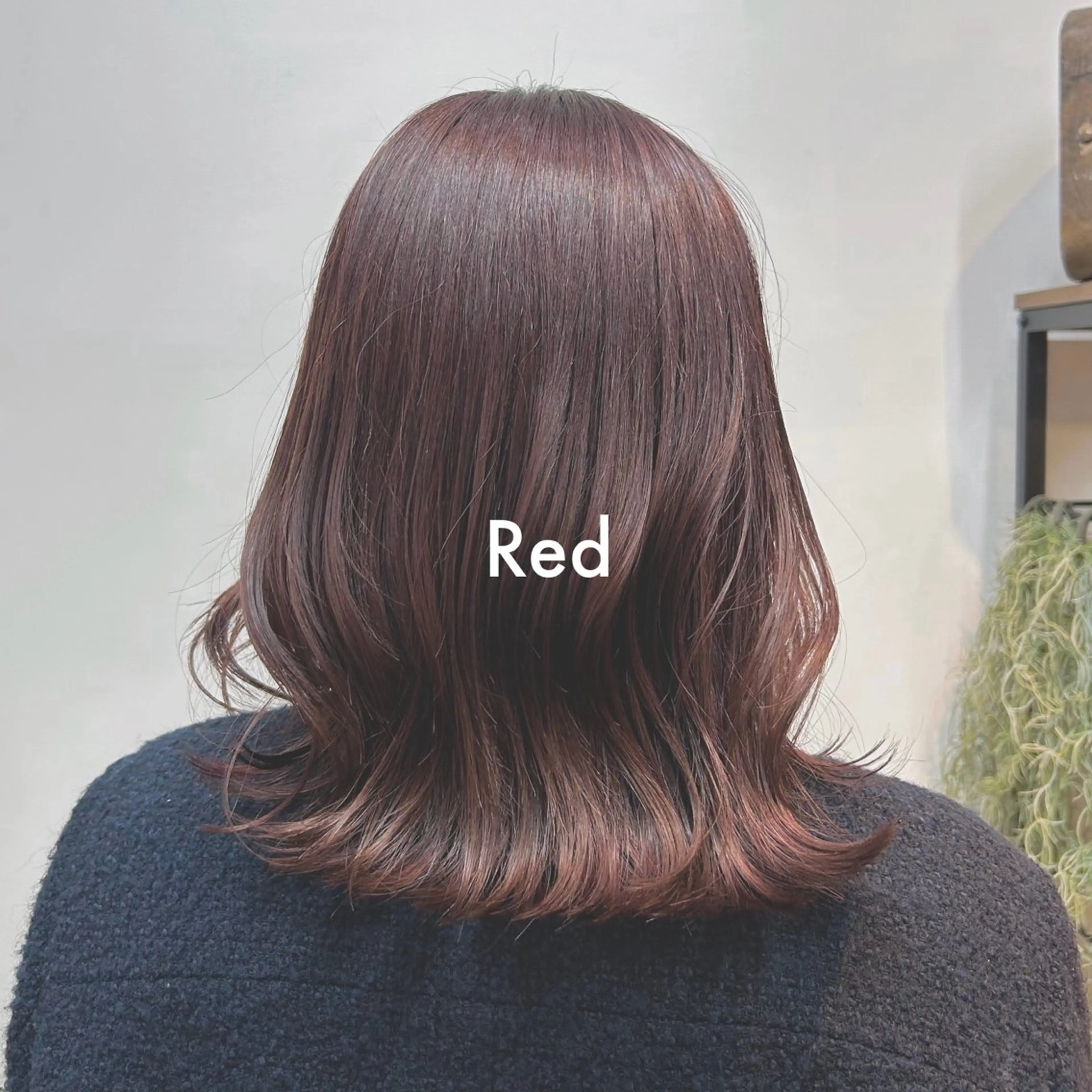ミディアム カラー カット ヘアカラー トリートメント Eri 🌿透明感・艶カラーのヘアスタイル