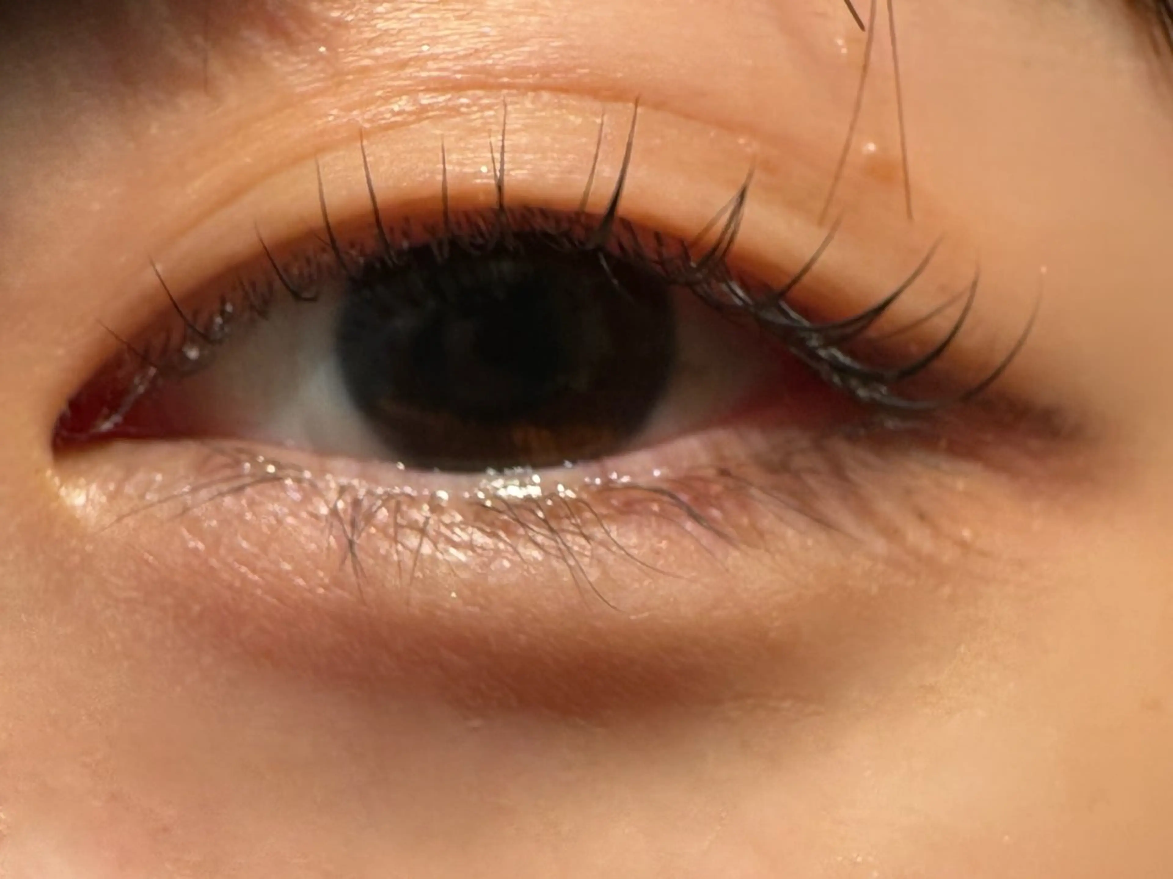 マツエク・マツパ 一重×まつ毛パーマ Hau’oli Hirayamaの眉毛・アイブロウイメージ