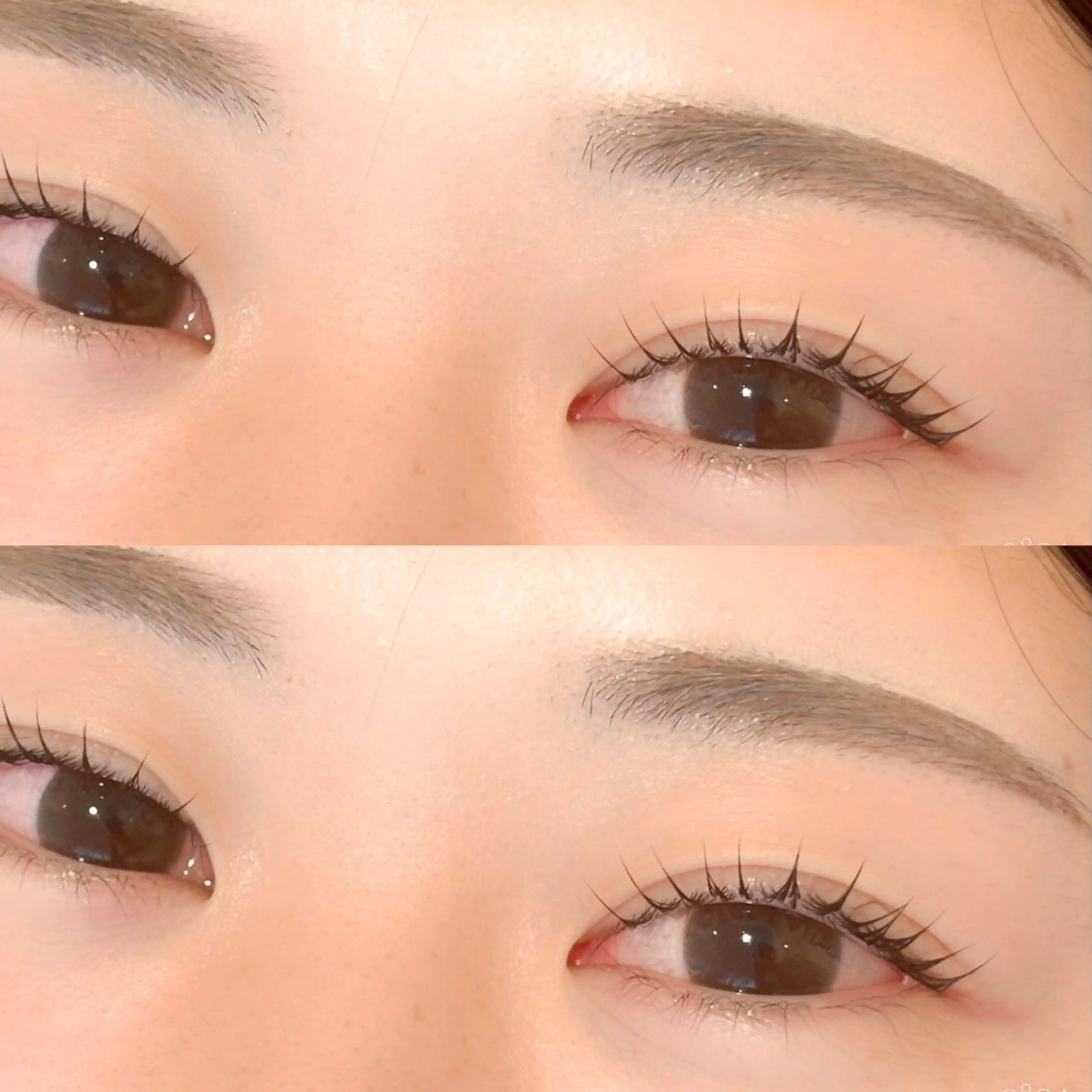 【🍩ご来店6️⃣回目以降🍩】♡setmenu♡（まつ毛パーマ➕アイブロウスタイリング🪄︎︎◝✩）の写真