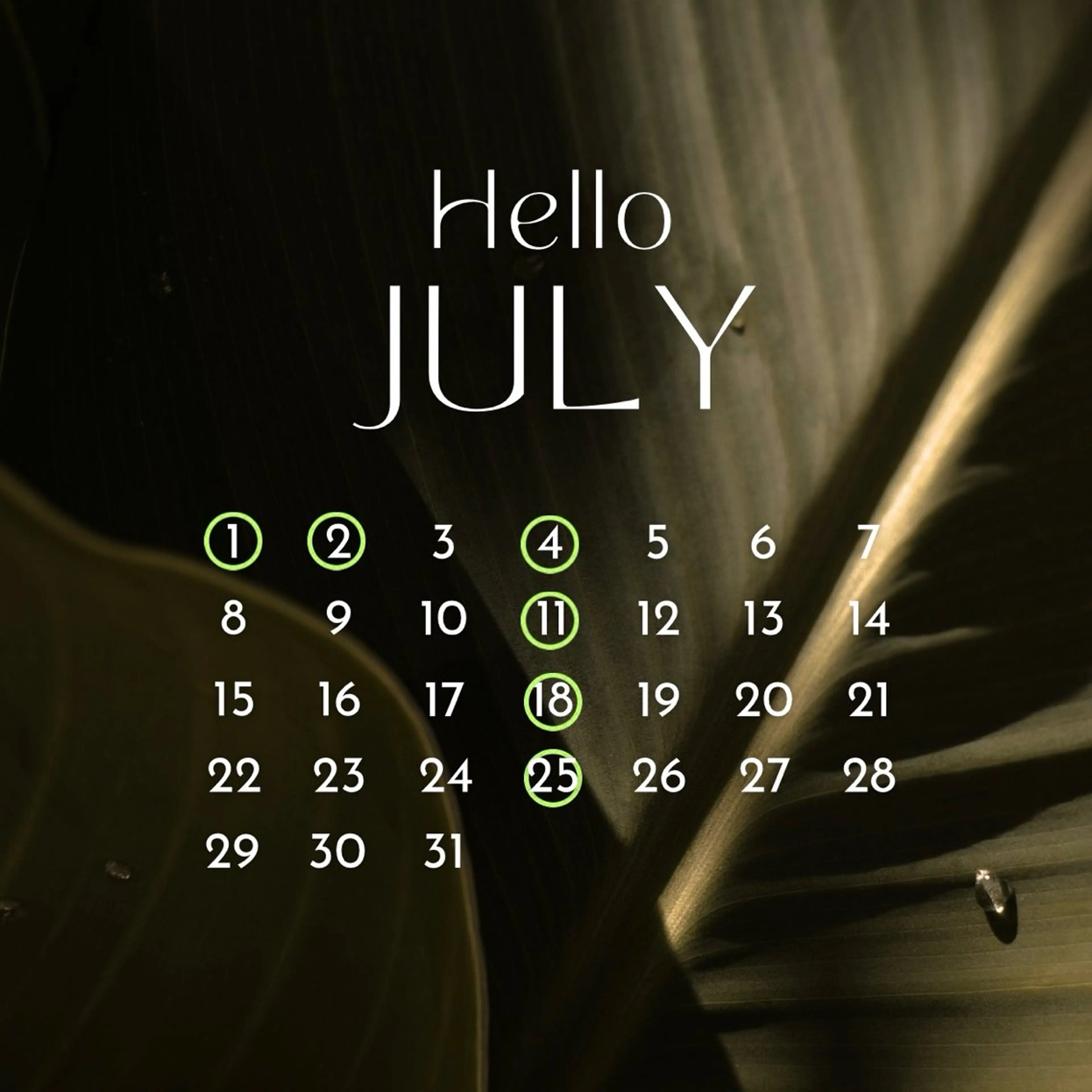 束感パリジェンヌ上下 恵比寿ayakaのマツエク・マツパデザイン