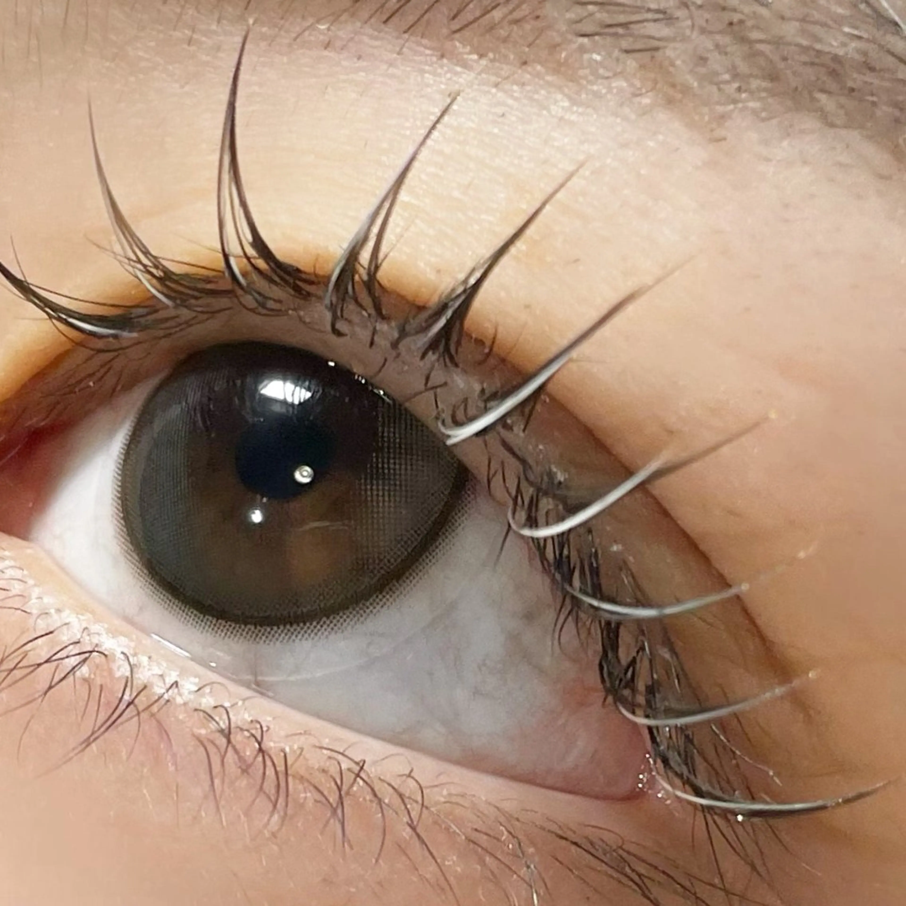 マツエク・マツパ salut ayakaのマツエク・マツパデザイン