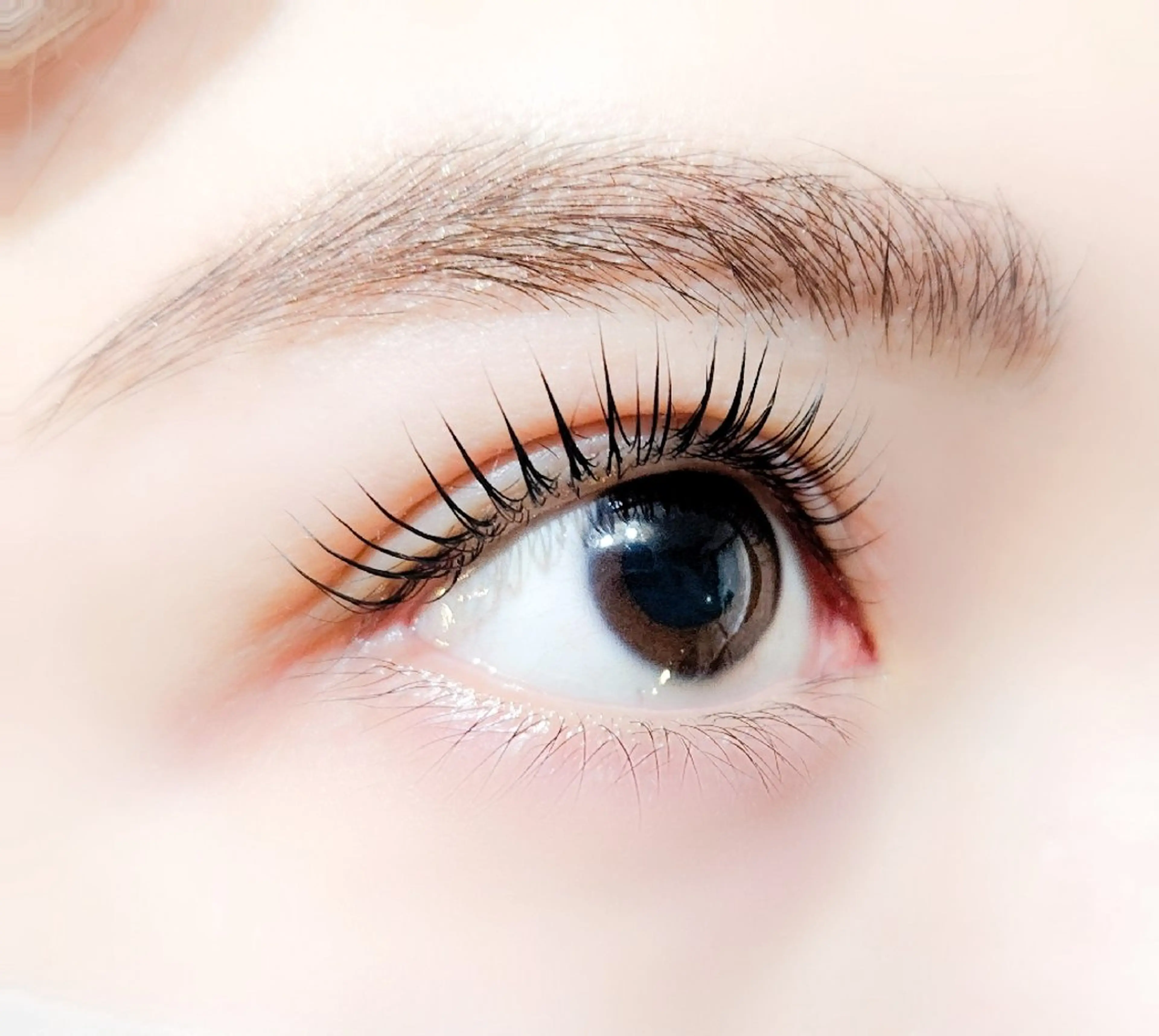 マツエク・マツパ まつげパーマ アイラッシュ コペル【Copel】所属・個室サロンcopel 　kishimotoのマツエク・マツパデザイン