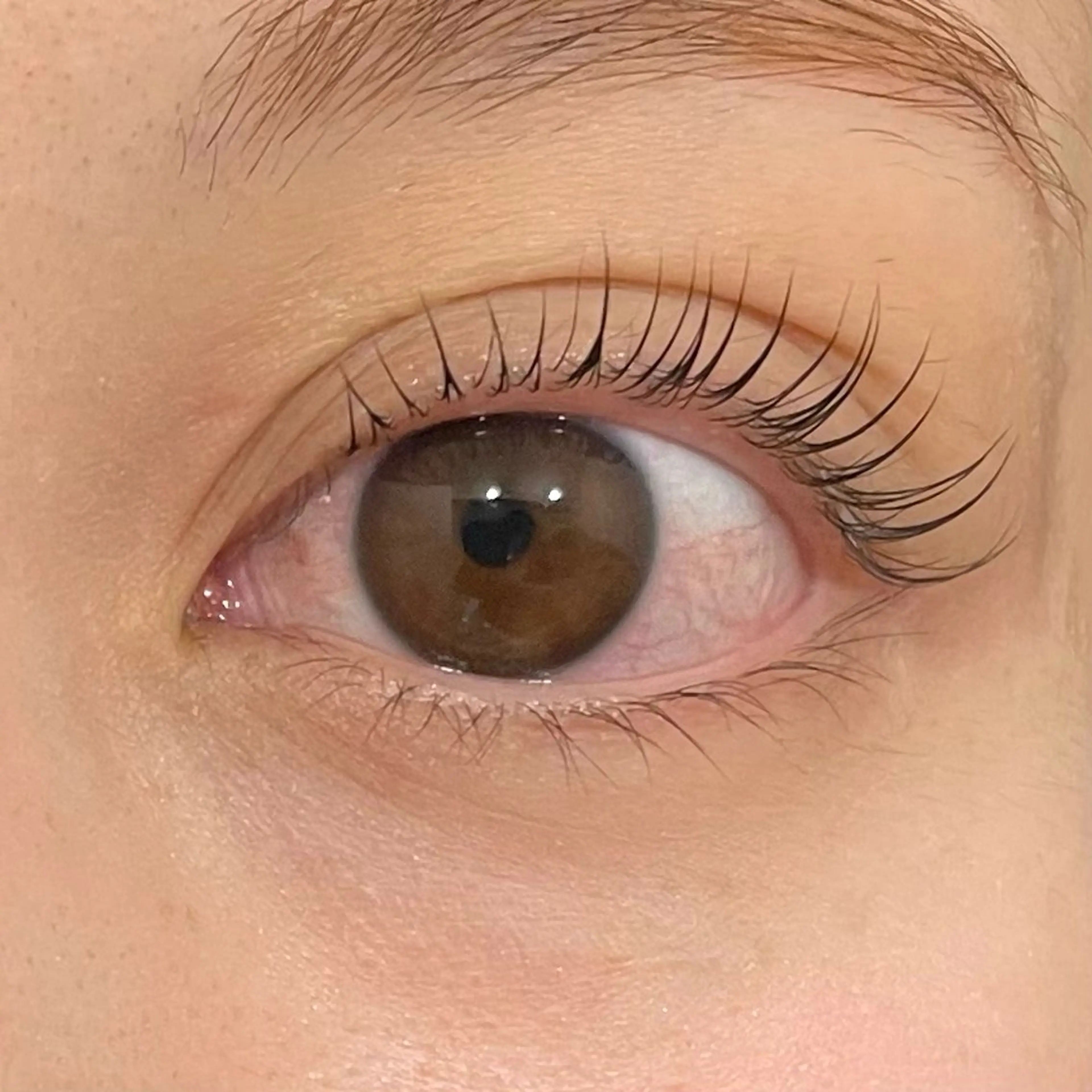 マツエク・マツパ Cカール 🌺KOKOA🌺 merci横浜のマツエク・マツパデザイン