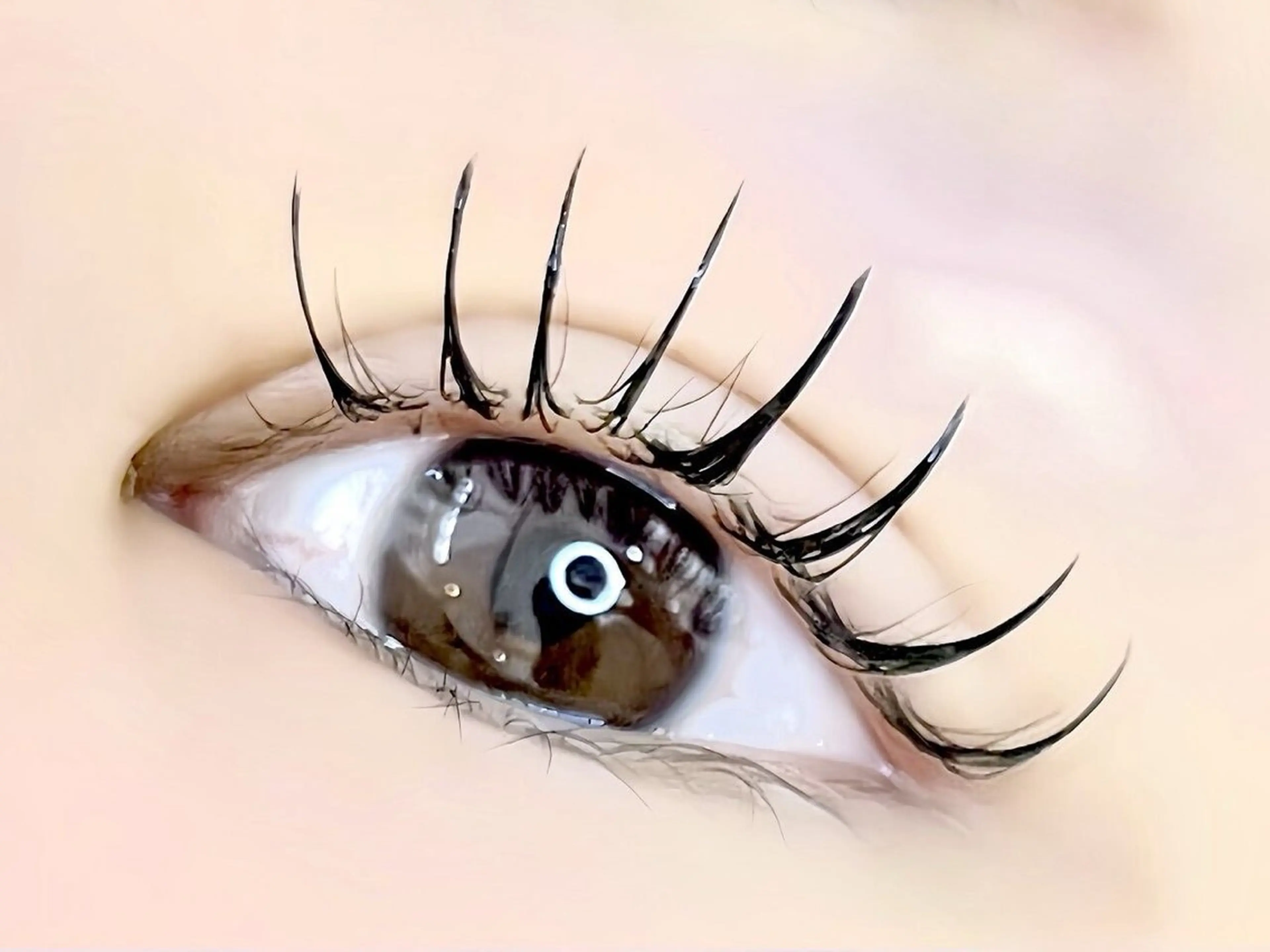 マツエク・マツパ 束感まつ毛 Cカール キュート フラットラッシュ 韓国風マツエク ☆ まほろ☆のその他イメージ