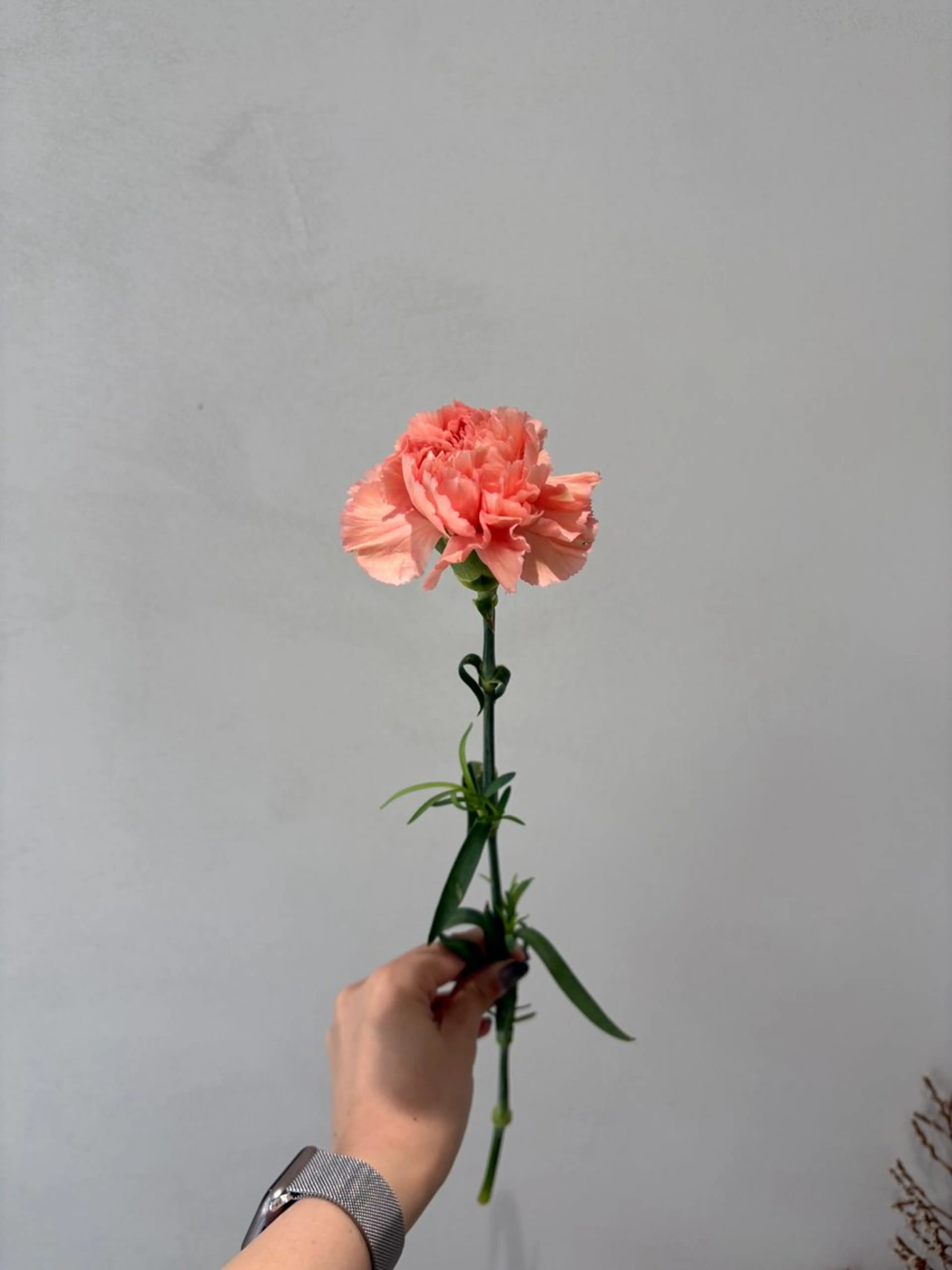 キッズ カット ヘアカラー トリートメント 🪻花屋併設🪻秀島 有紀のヘアスタイル