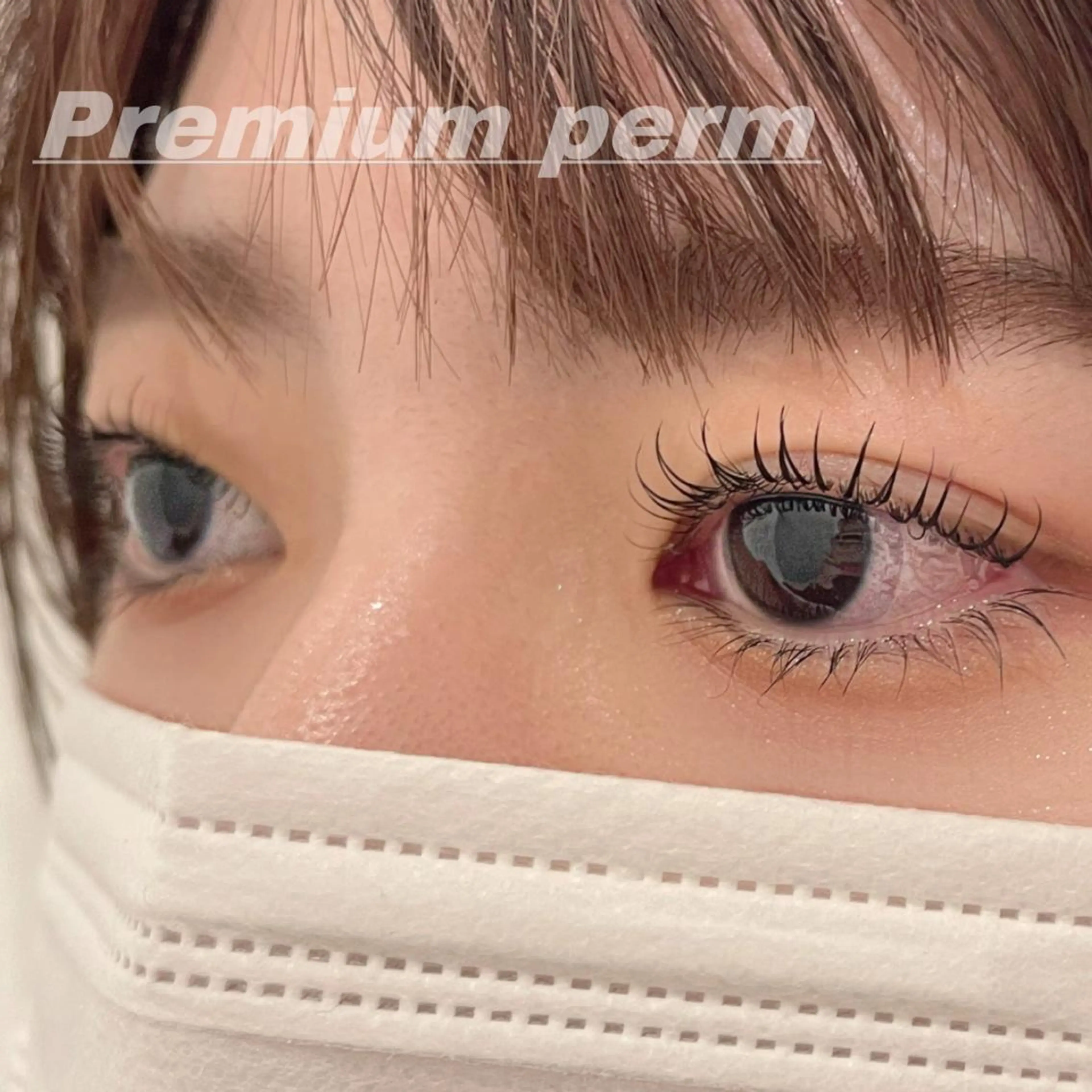 《premium》👁まつ毛パーマ 3,300円の写真