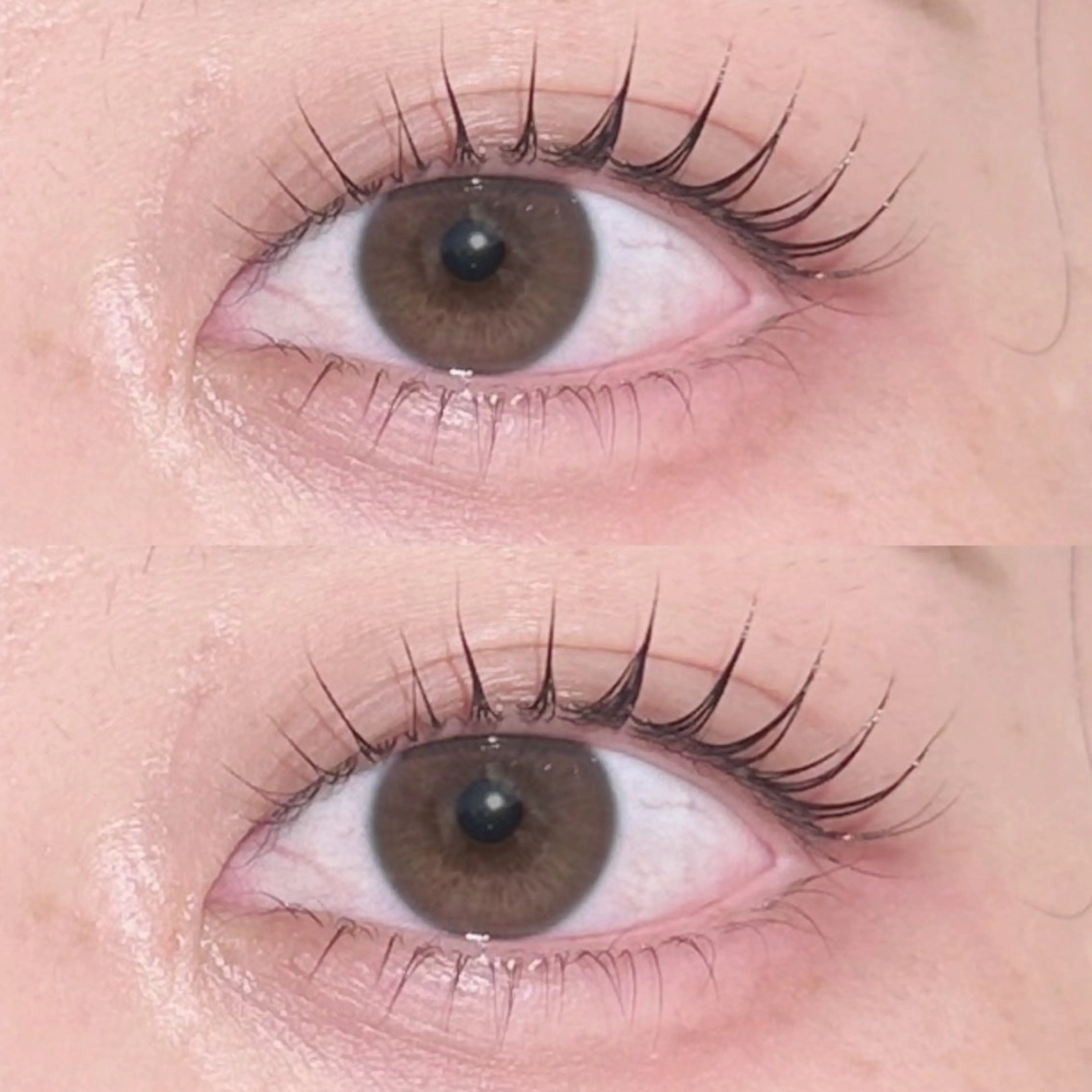 マツエク・マツパ マツパ lit.🤍 kiyoneのマツエク・マツパデザイン