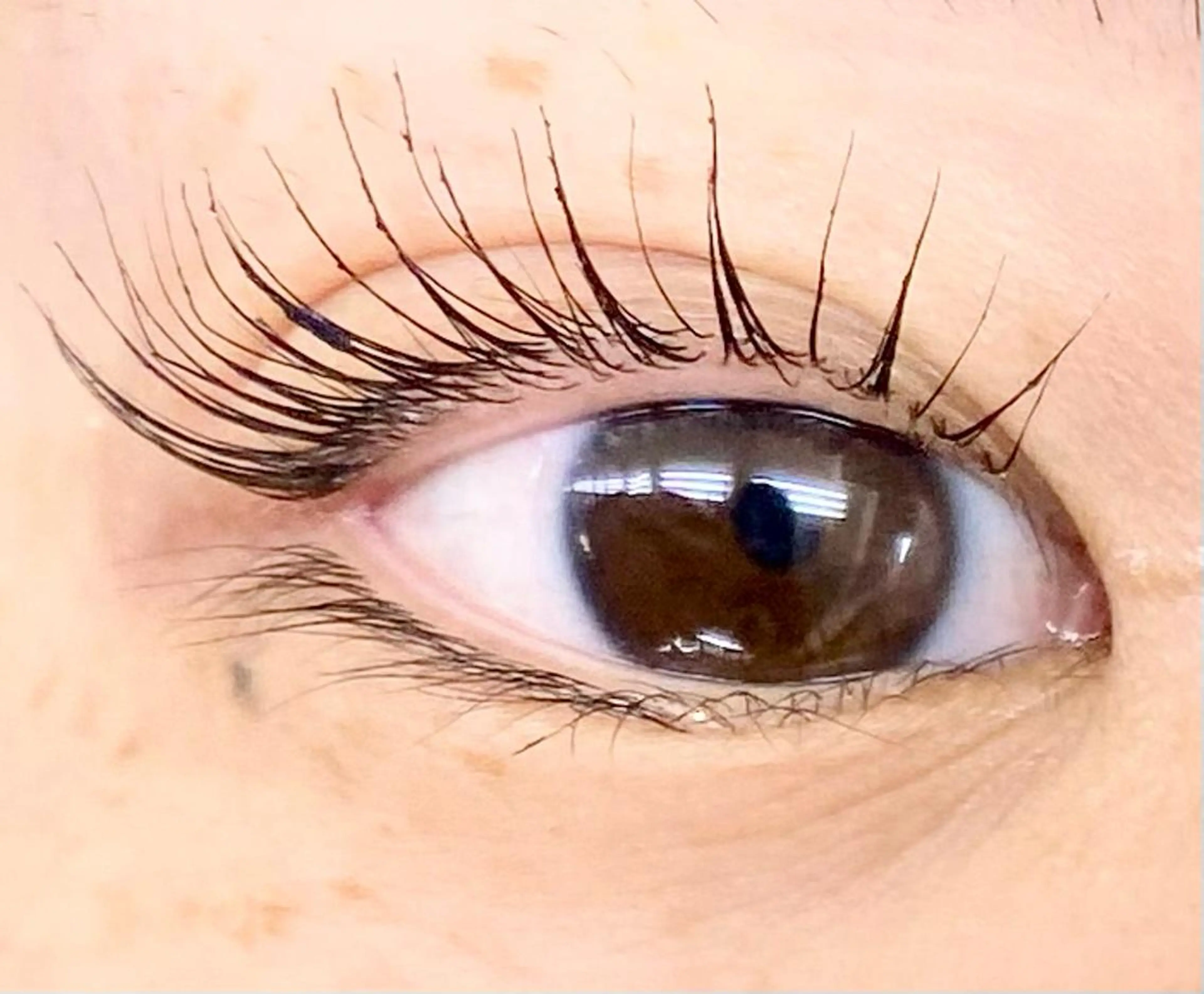 マツエク・マツパ マツパ マックスケリー所属・かわ ごえのマツエク・マツパデザイン