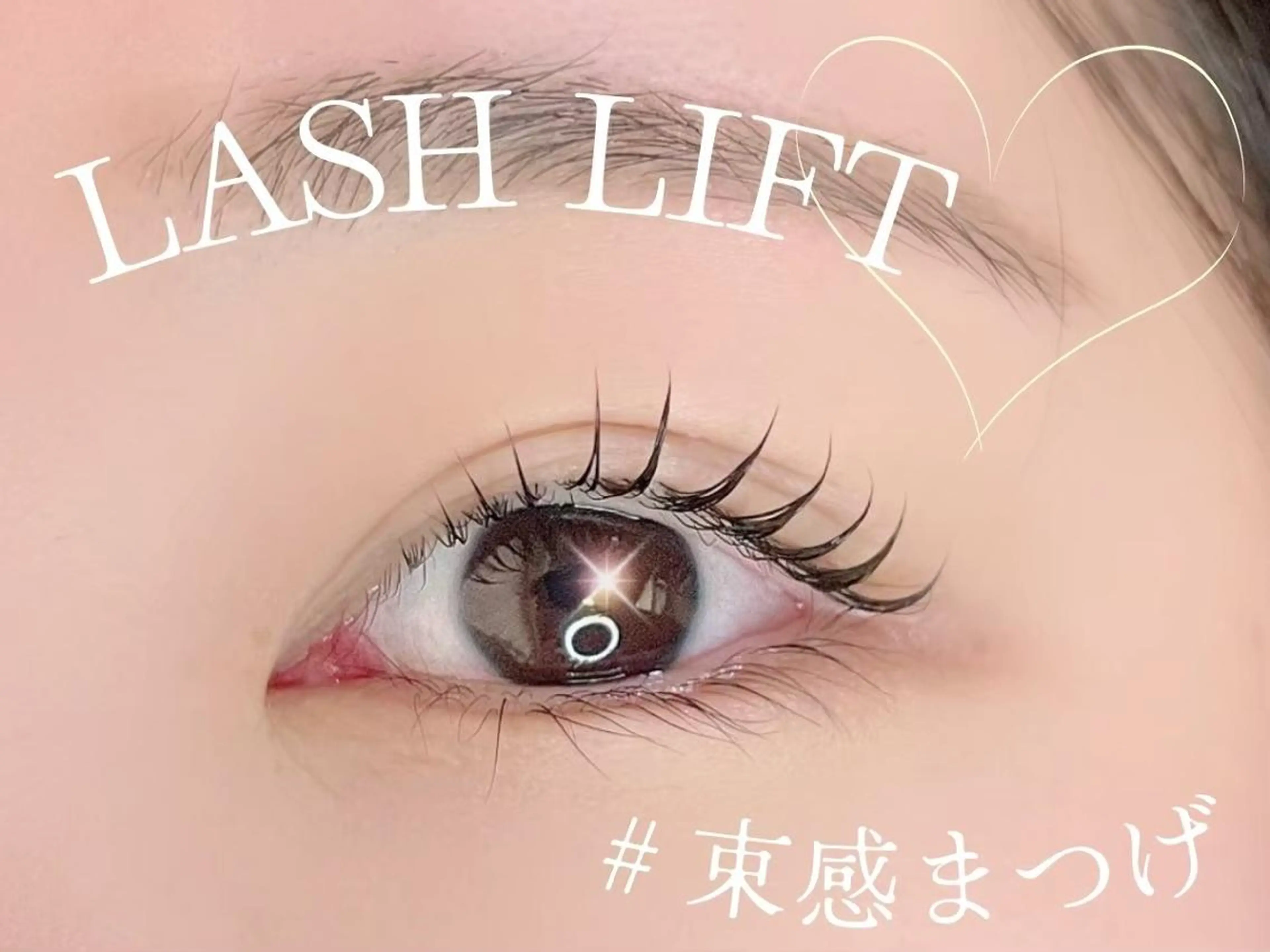 まつ毛パーマ+高級コーティングの写真