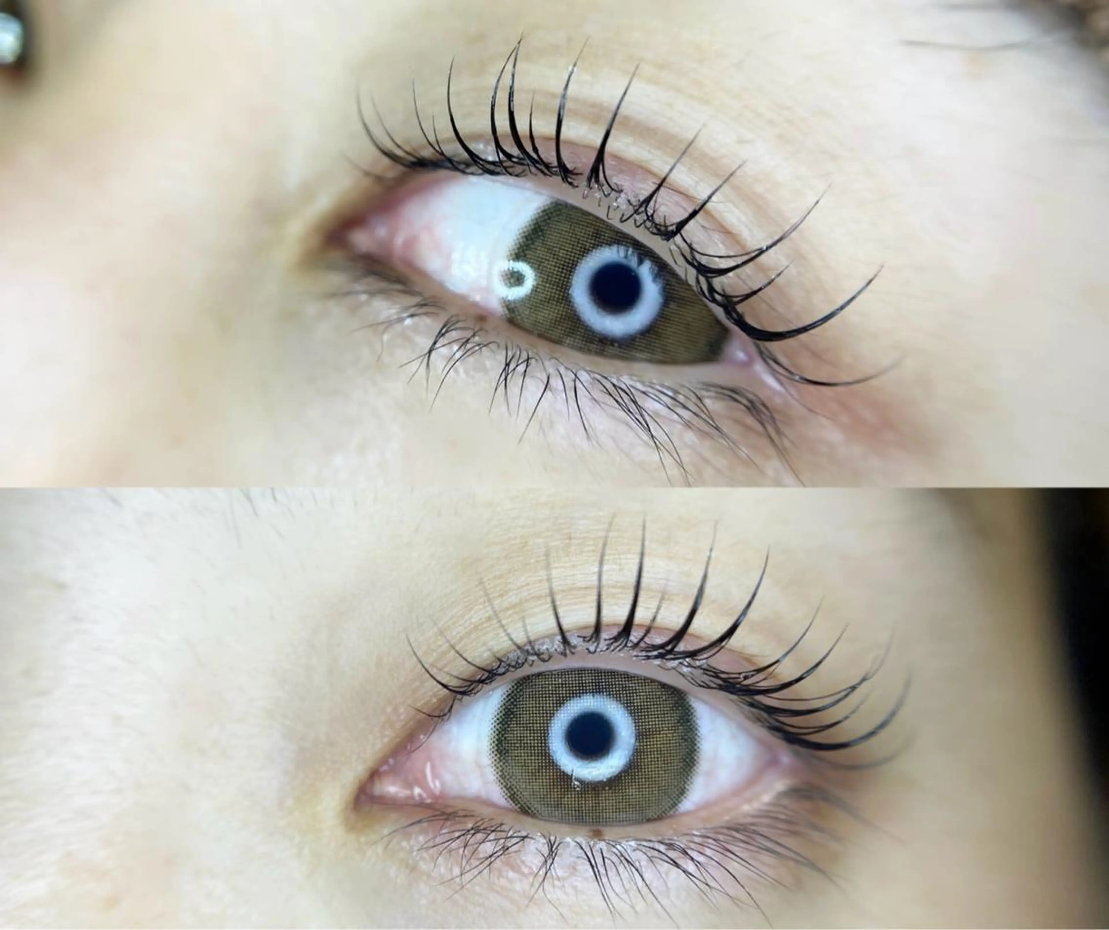 special care付き♡ラッシュリフト(上のみ)の写真