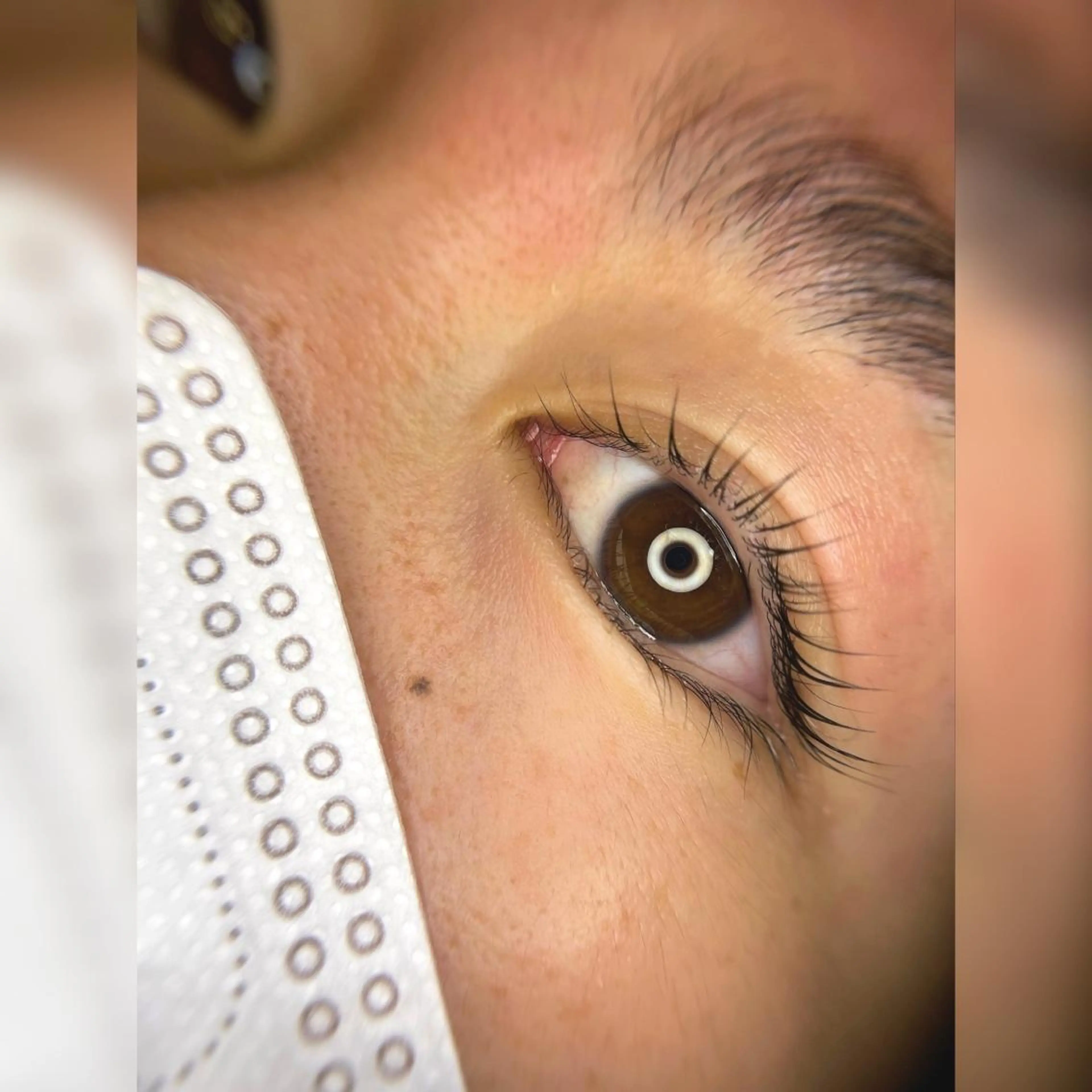 🌹パリジェンヌラッシュリフトorパーソナルラッシュリフト🌹の写真