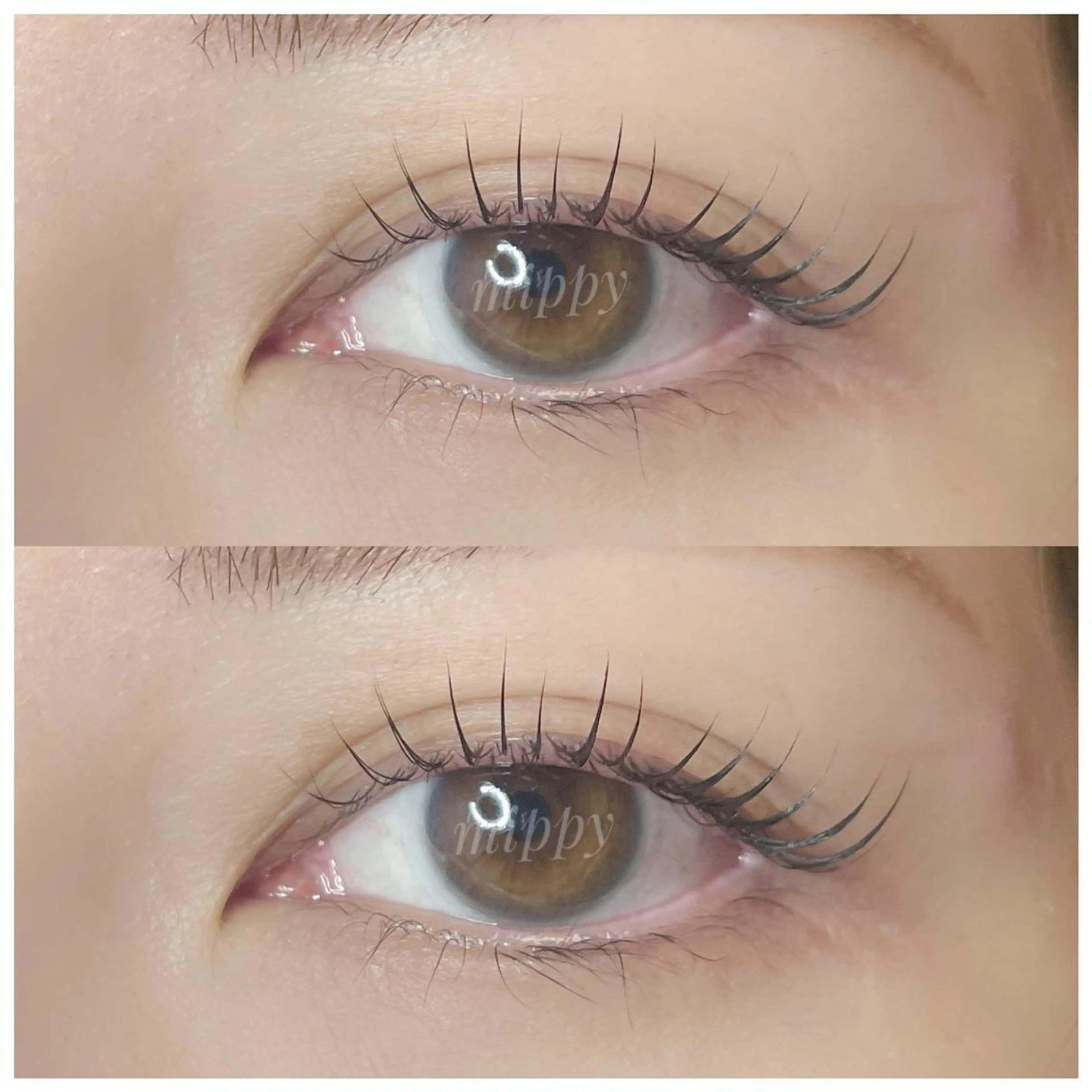 マツエク・マツパ ｍｉｐｐｙ 🪽のマツエク・マツパデザイン