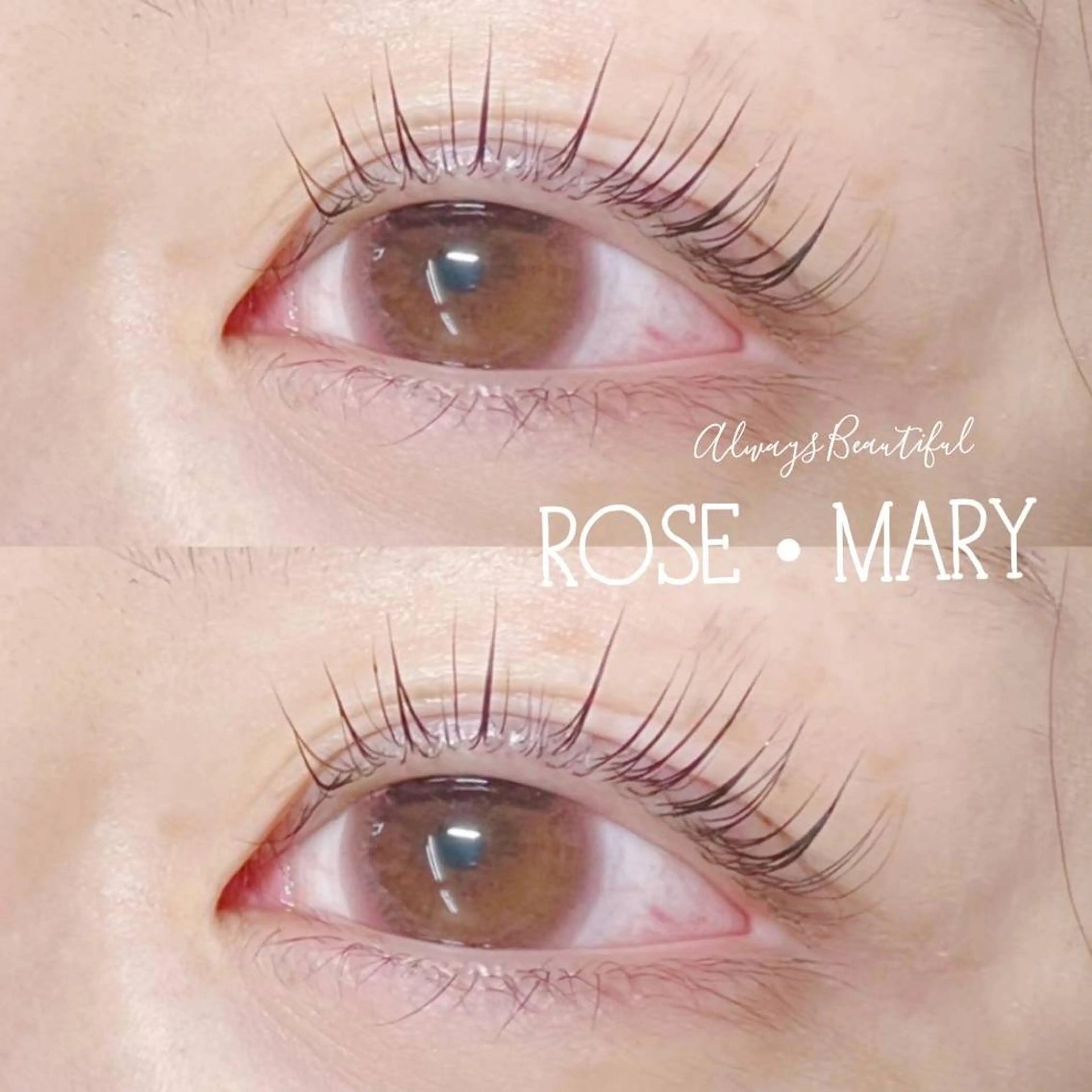 マツエク・マツパ マツパ ROSE MARY 大竹のマツエク・マツパデザイン