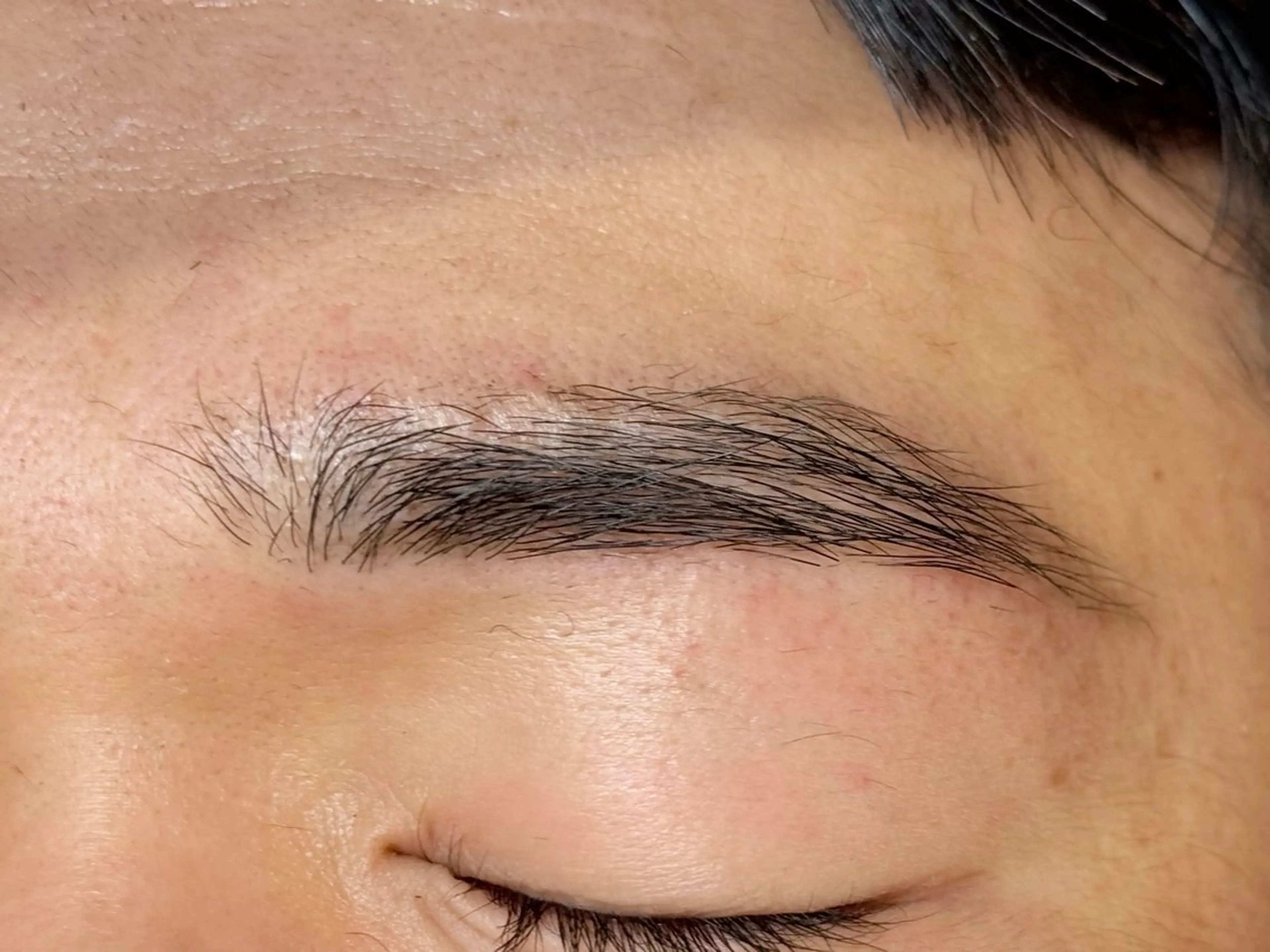 アイブロウ ハリウッドブロウリフト 眉毛ワックス脱毛 ワックス脱毛 眉カット その他(アイブロウ) greedy東山店 長谷川の眉毛・アイブロウイメージ