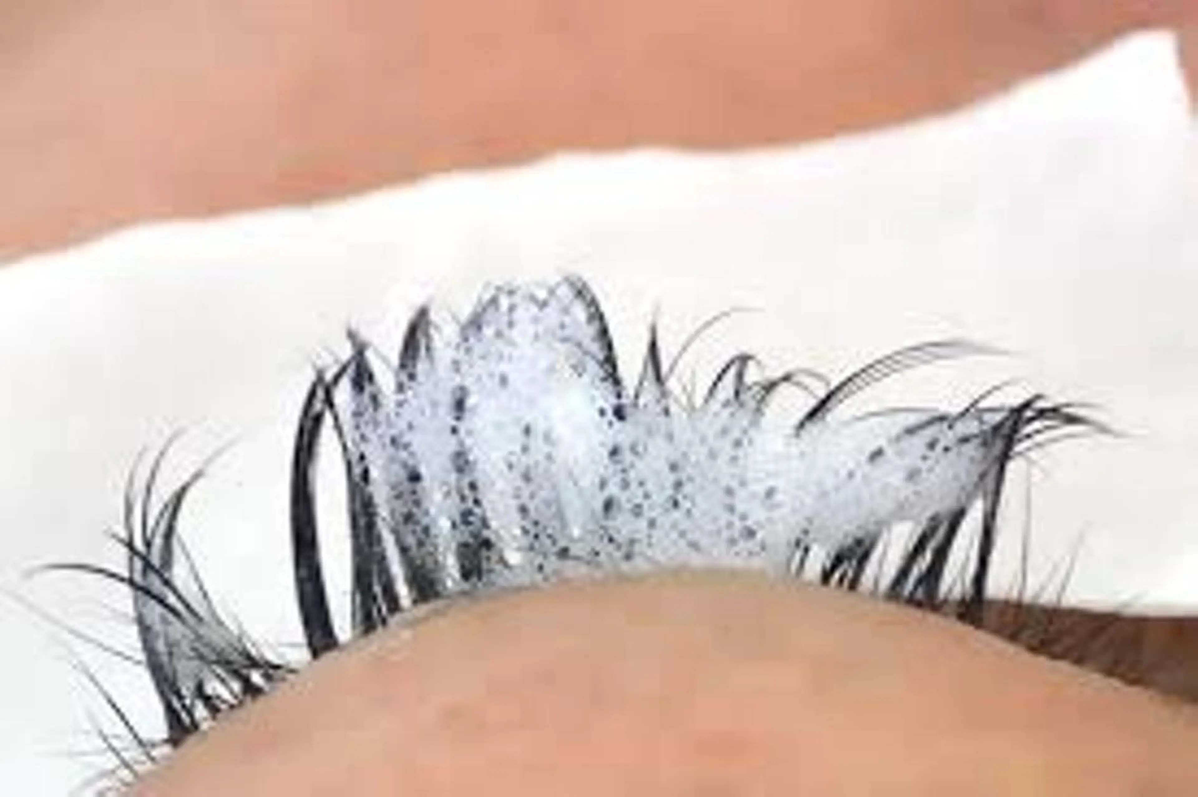 マツエク・マツパ 北村 ひとみのヘアスタイル