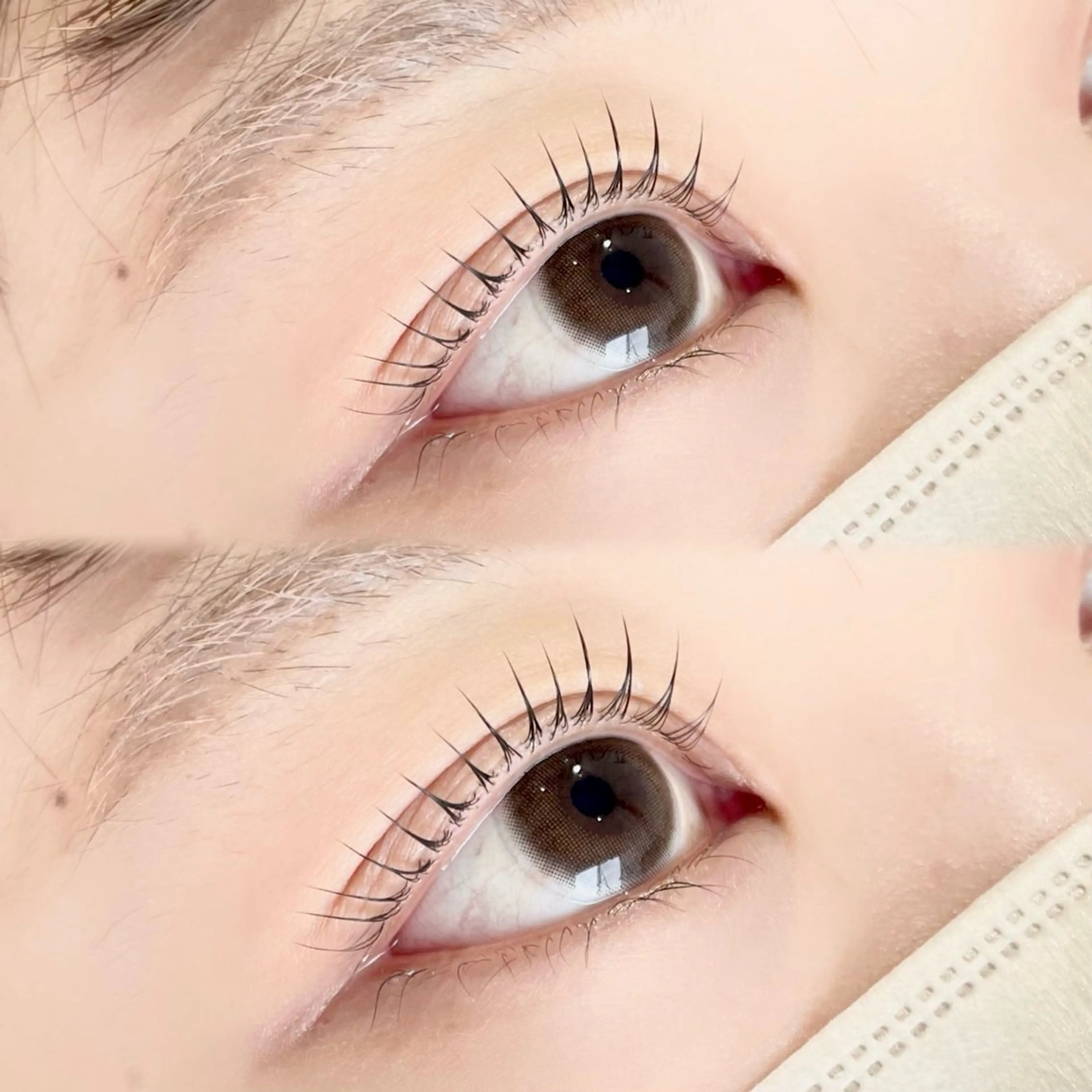 ♥️🦩パリジェンヌラッシュリフト🦩♥️の写真