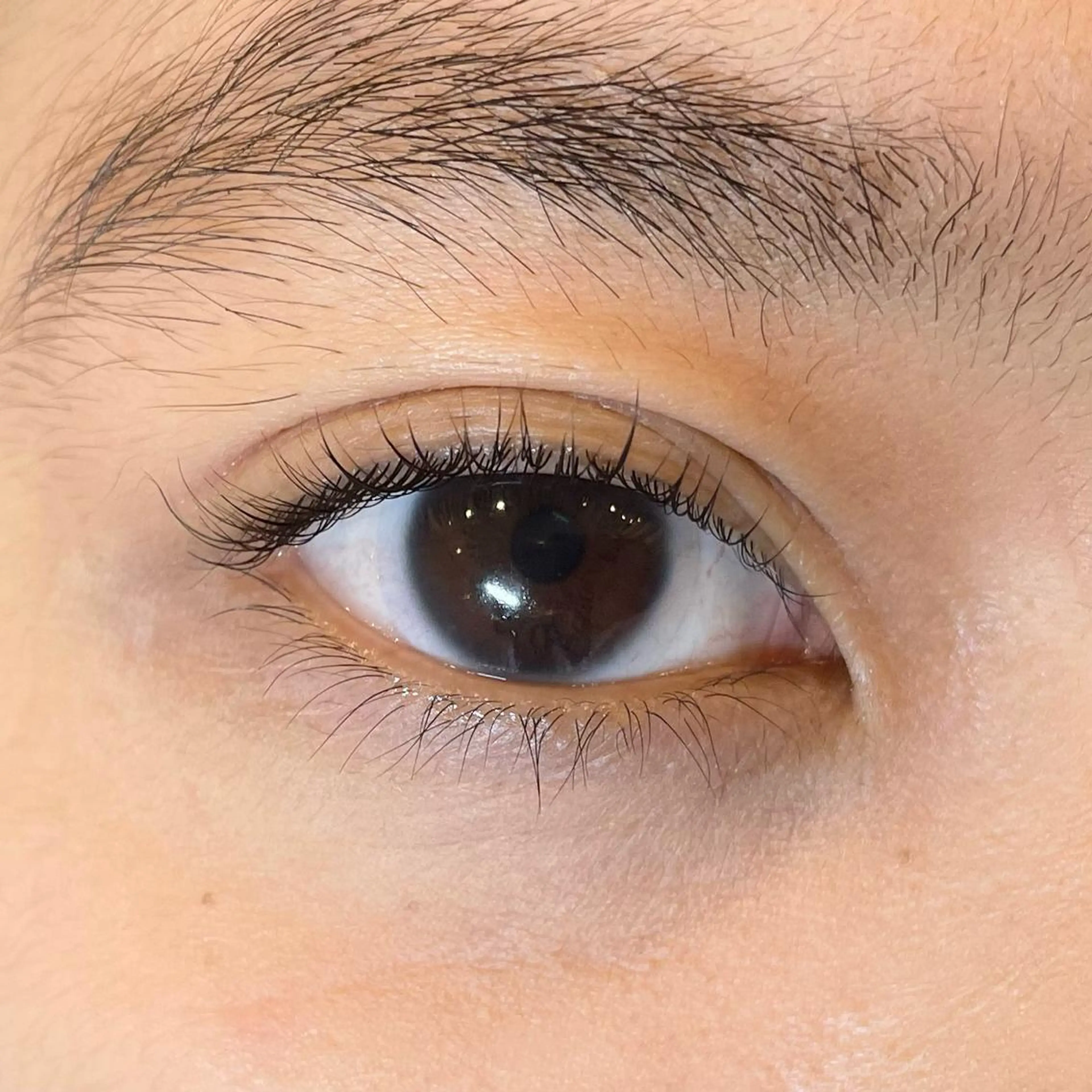 マツエク・マツパ まつげパーマ sarah by  nicottのマツエク・マツパデザイン