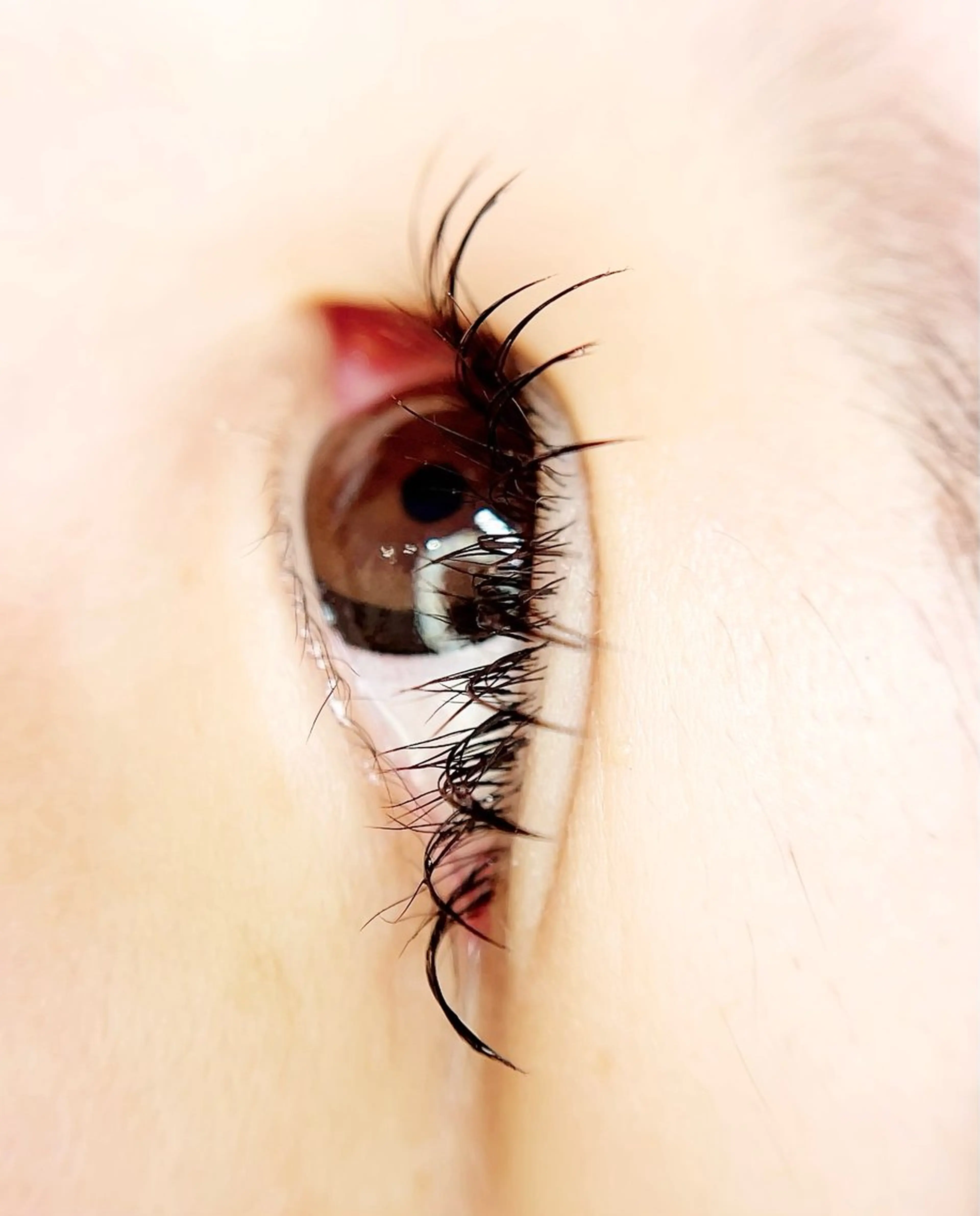 マツエク・マツパ 付け放題 crown KIYOMIのマツエク・マツパデザイン