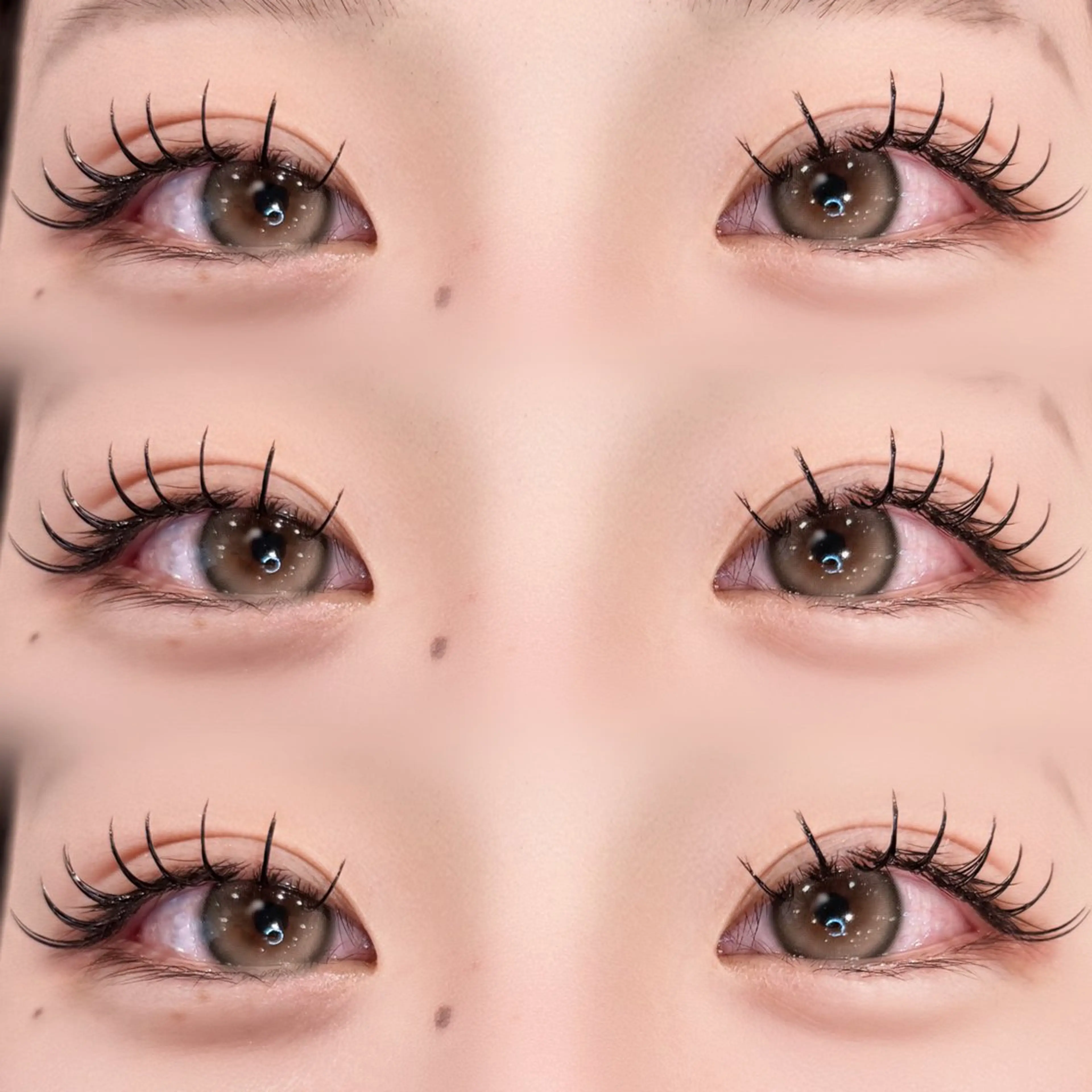 【＆healthyバインドロック】🩶🪽100束¥10000/120束¥10500の写真