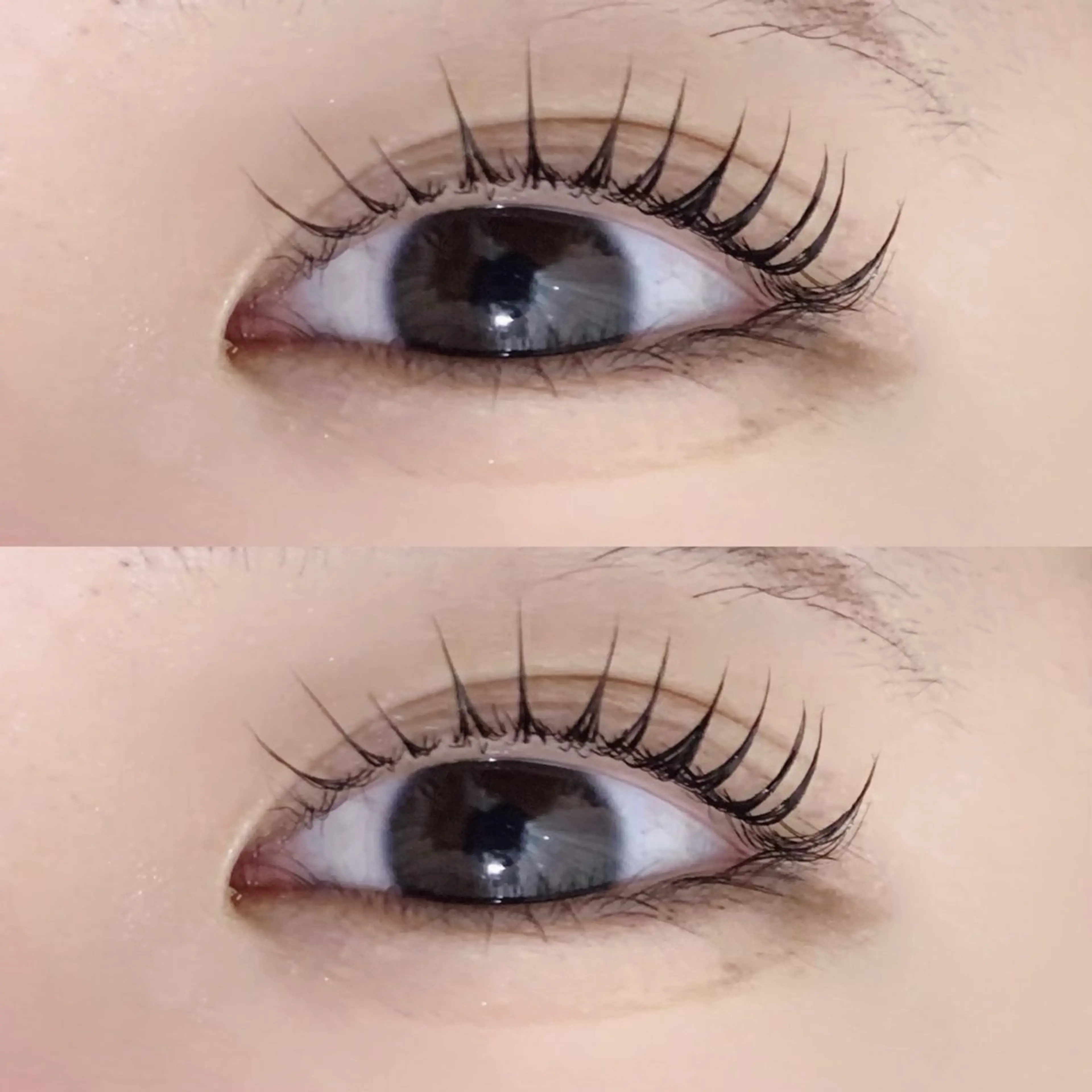 【大好評クーポン】💓パリジェンヌラッシュリフト💓の写真