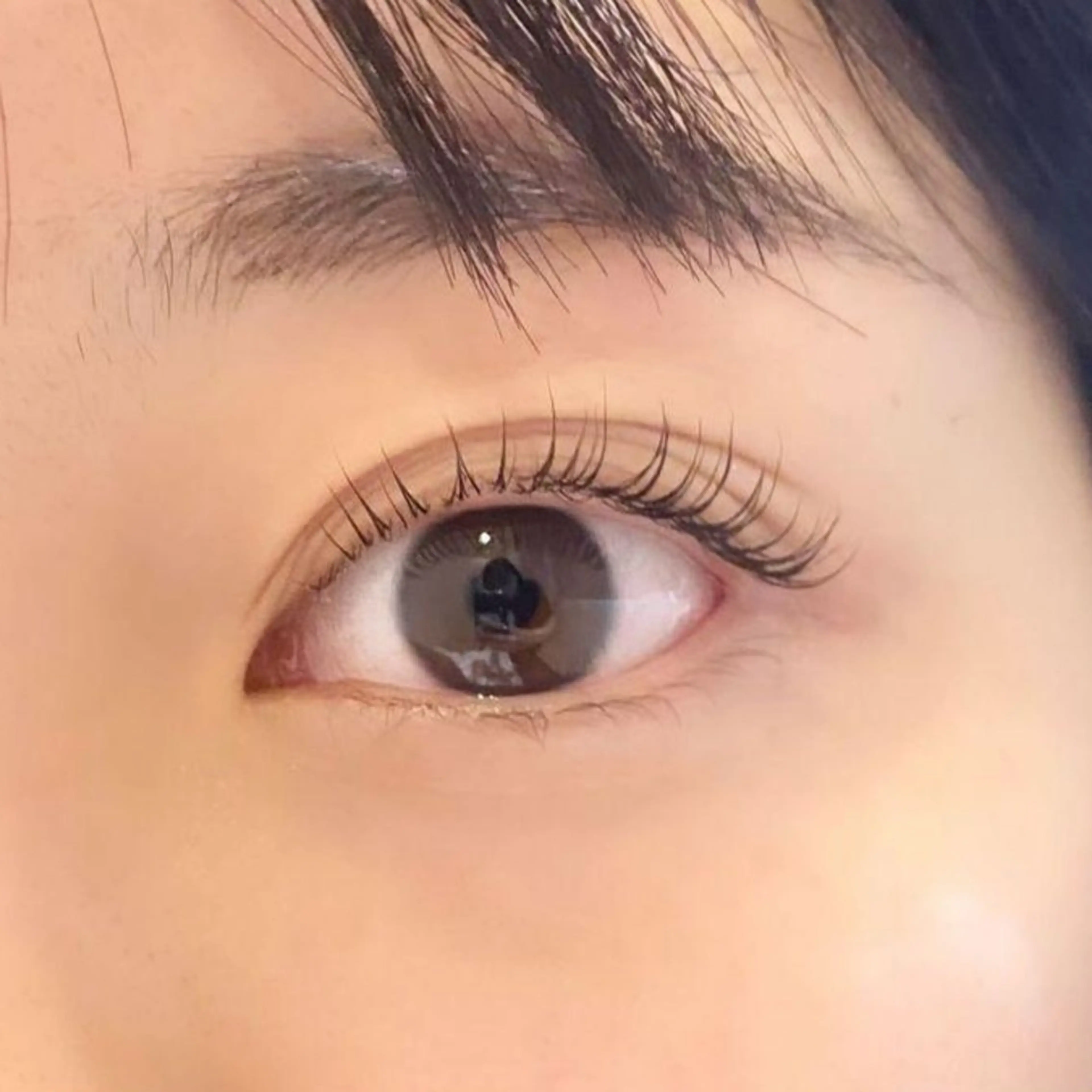 マツエク・マツパ carrefour Noa 新潟店🫧の眉毛・アイブロウイメージ