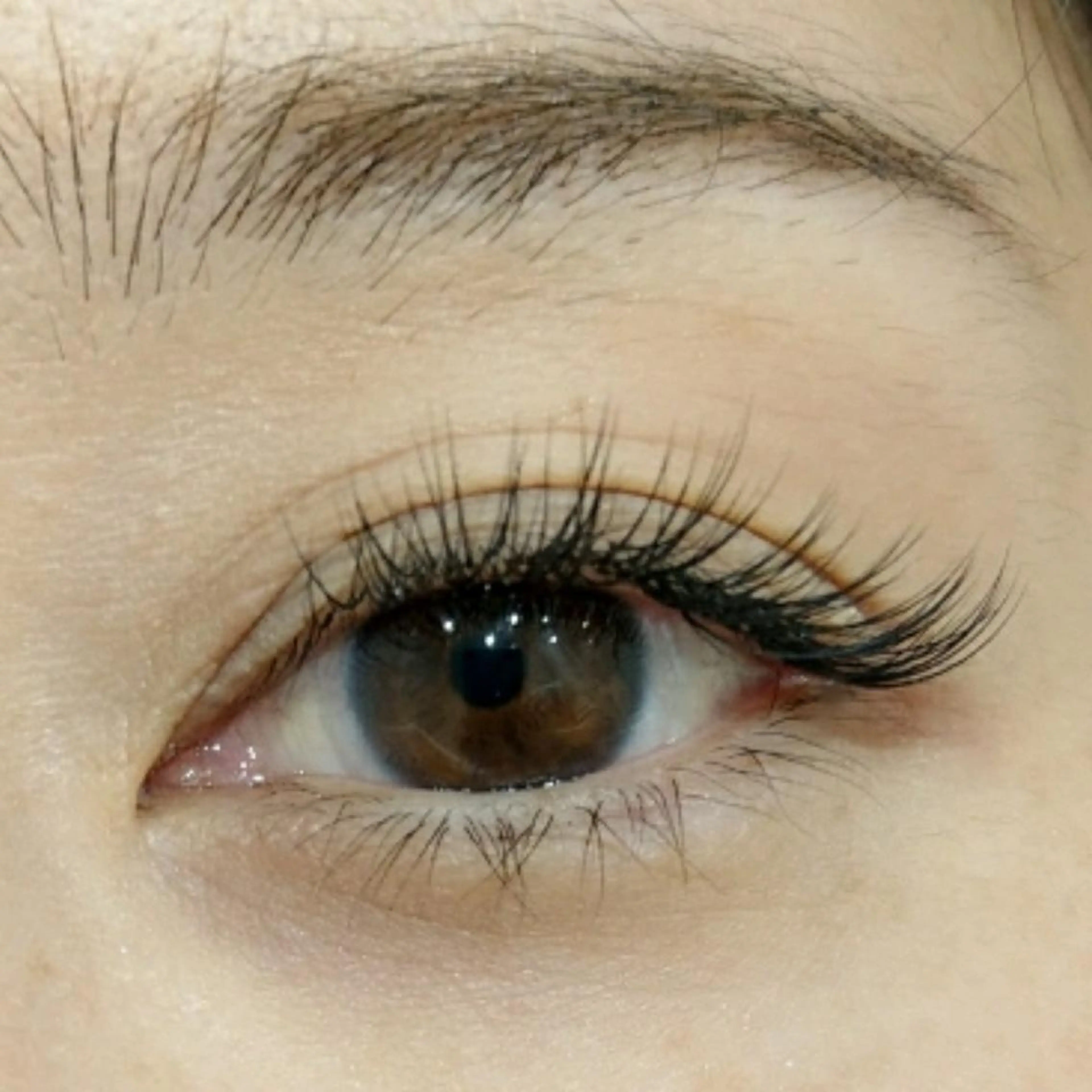 マツエク・マツパ ラグドール 東海大学前店のマツエク・マツパデザイン