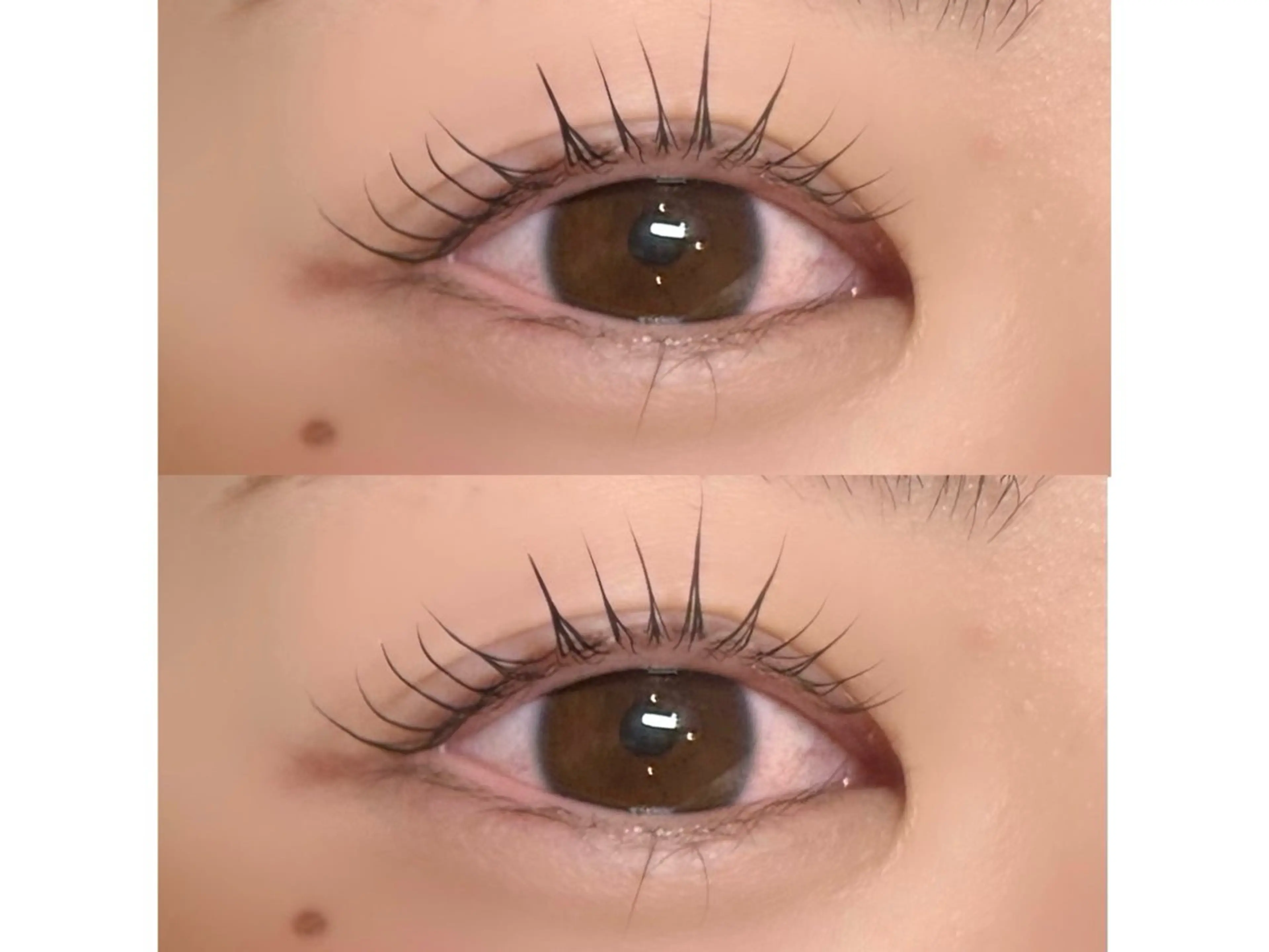 まつ毛パーマ＋コーティング付きの写真