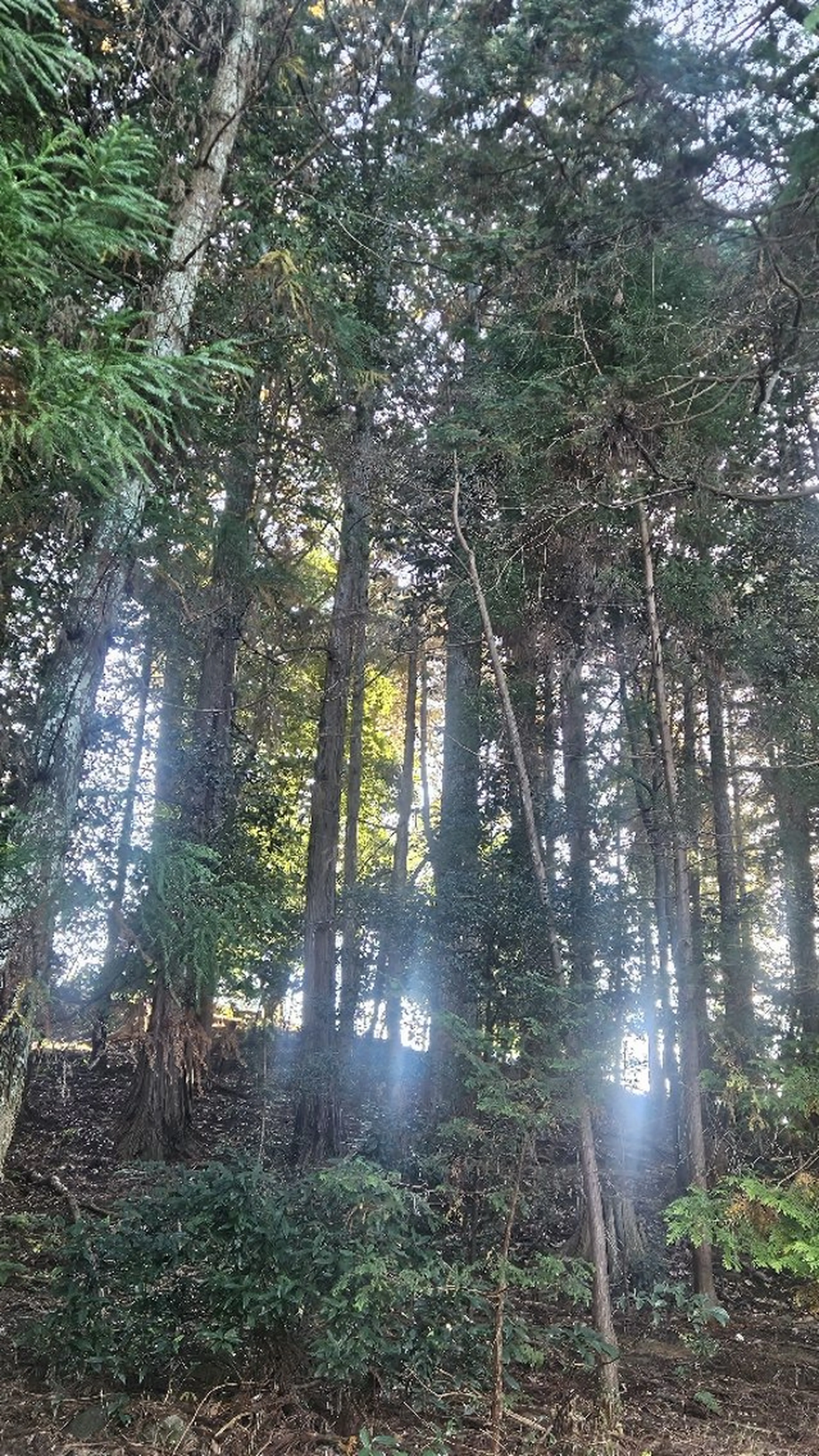 K.mai╱ 3EYE天王寺店のエステ・リラクイメージ