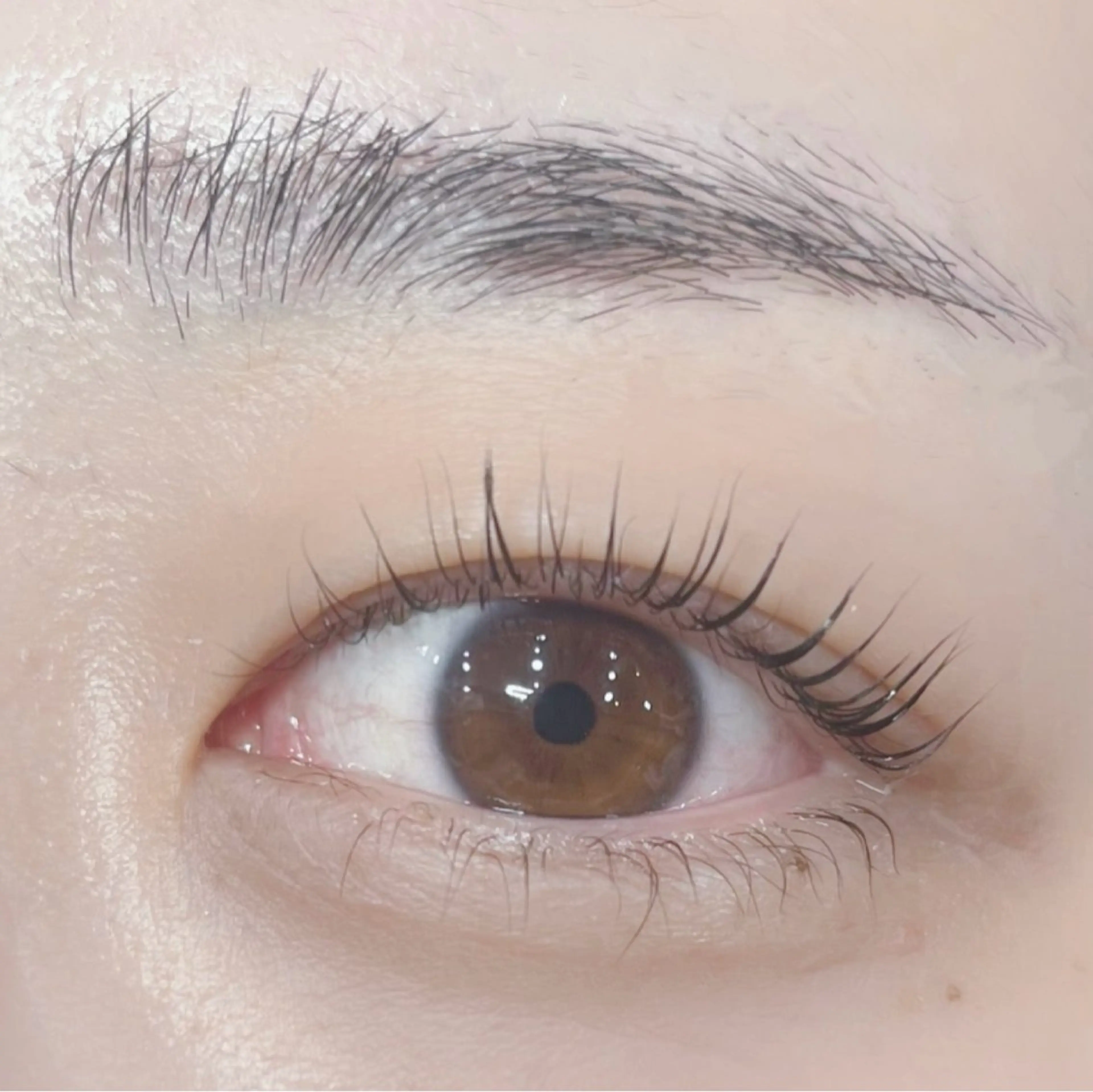 マツエク・マツパ IIJIMA /まつパ/パリ/束感のマツエク・マツパデザイン